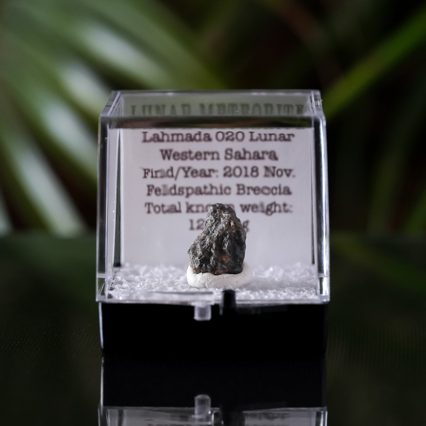 Lunar Meteorite, Lahmada 020, Western Sahara, .5g
