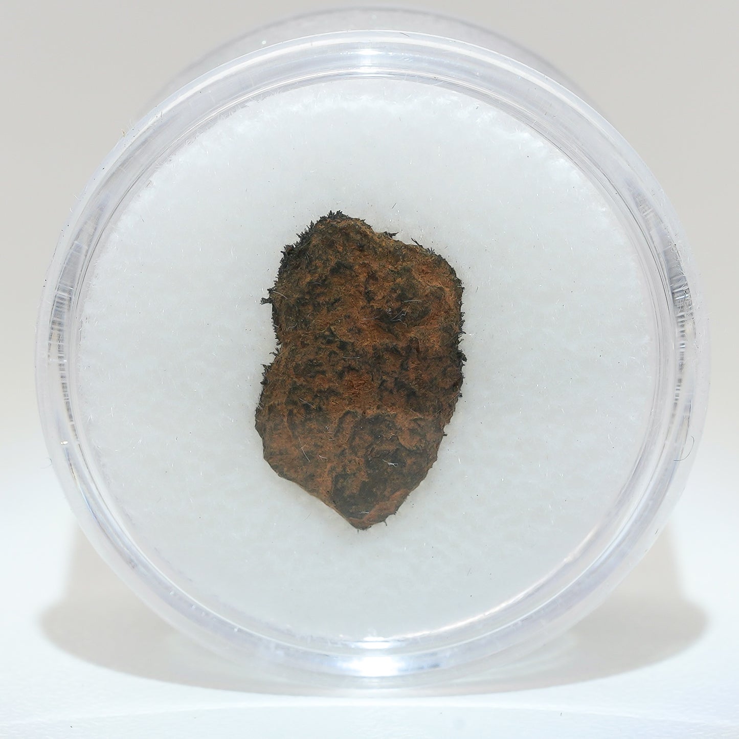 Gibeon Meteorite with Desert Patina from Namaland, Namibia, .6g