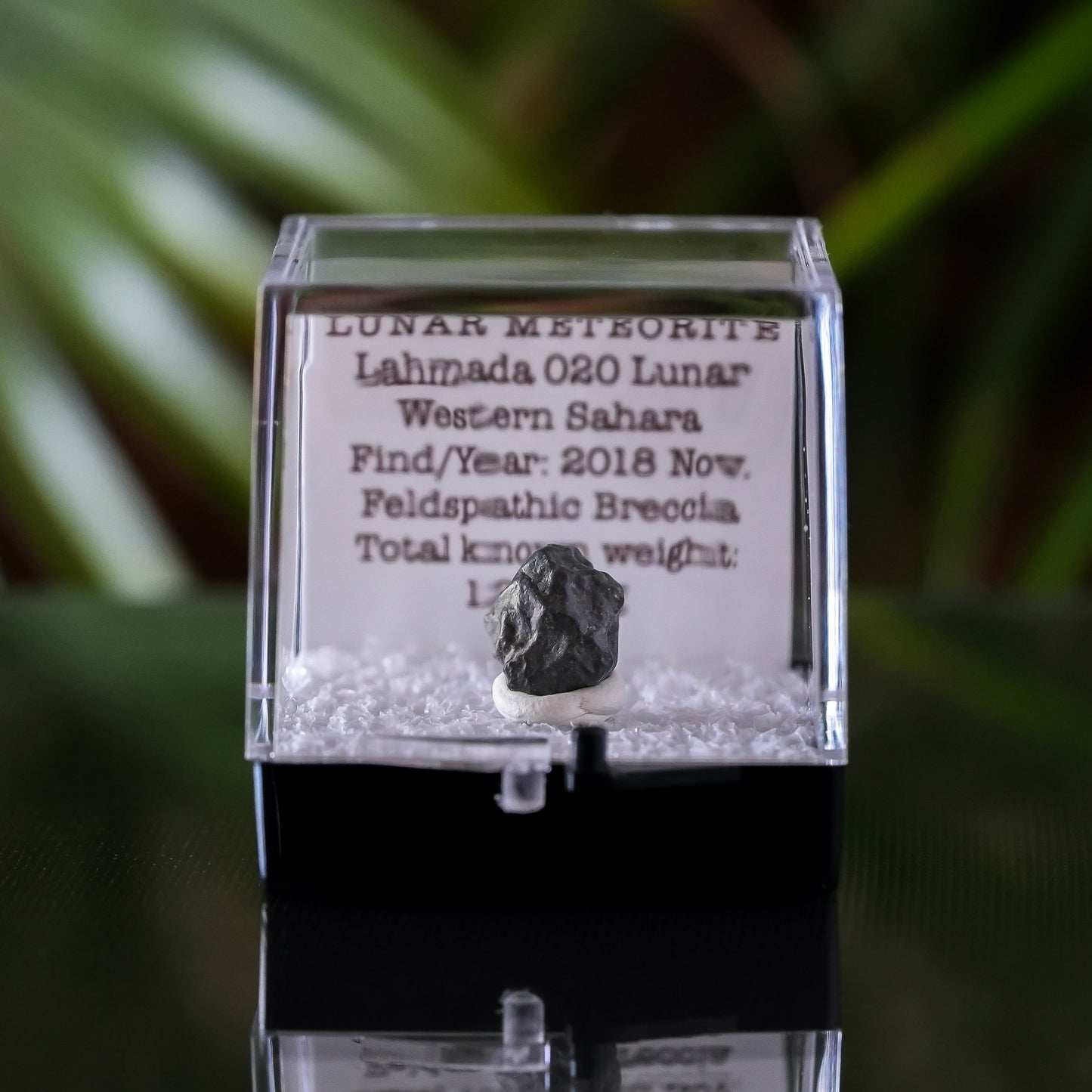 Lunar Meteorite, Lahmada 020, Western Sahara, .6g