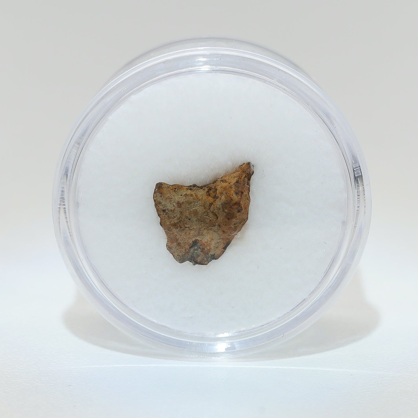 Gibeon Meteorite with Desert Patina from Namaland, Namibia, .5g