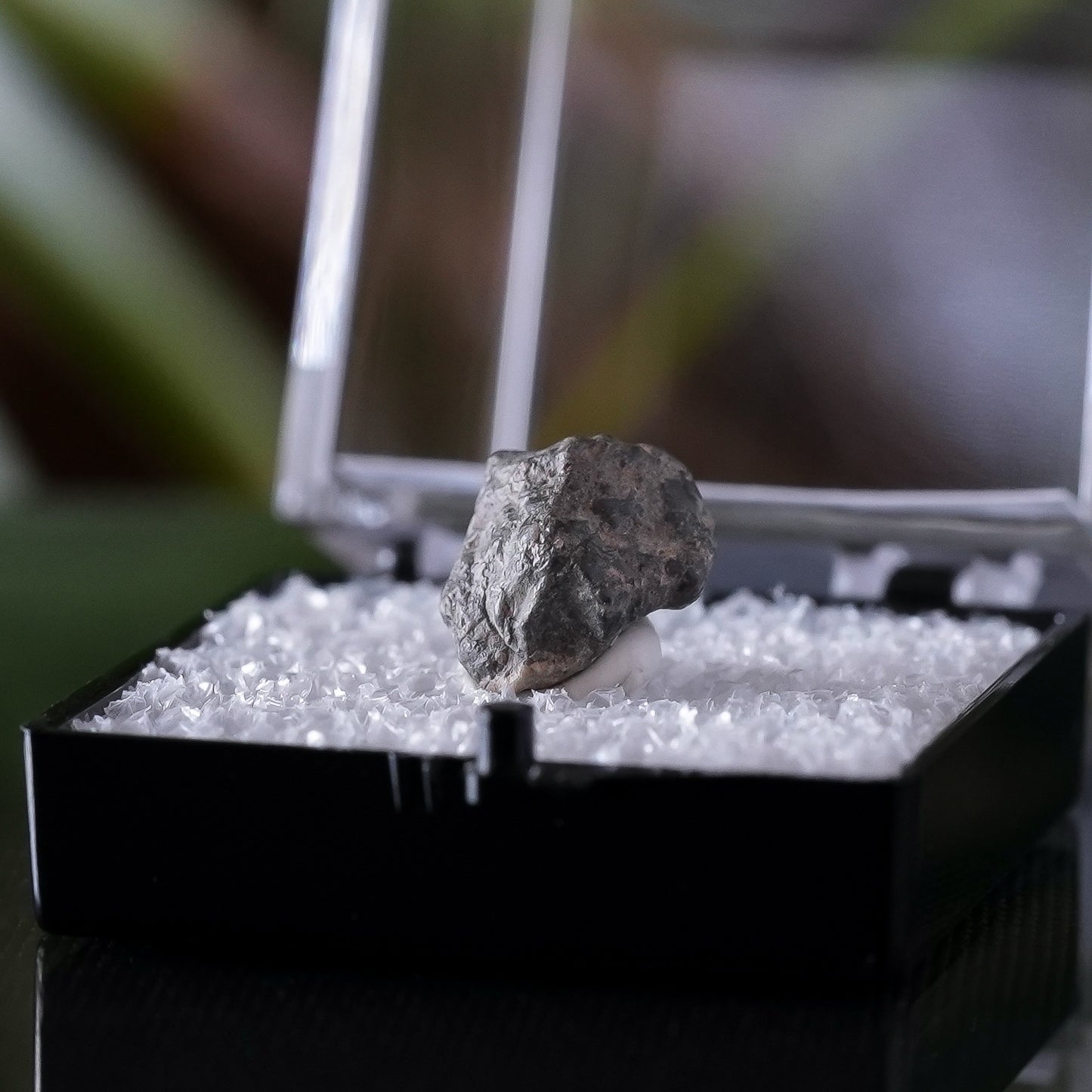 Lunar Meteorite, Lahmada 020, Western Sahara, .5g