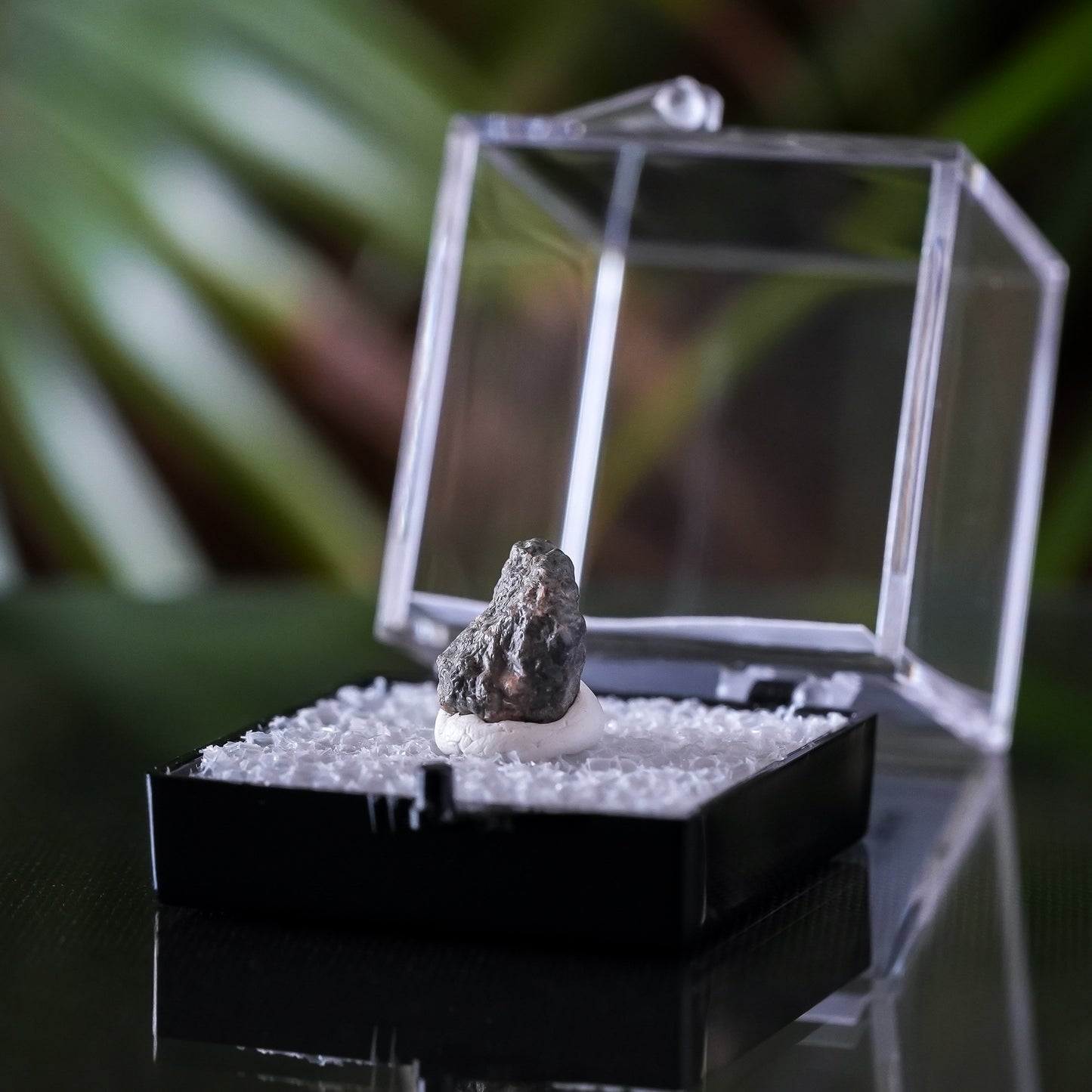 Lunar Meteorite, Lahmada 020, Western Sahara, .5g