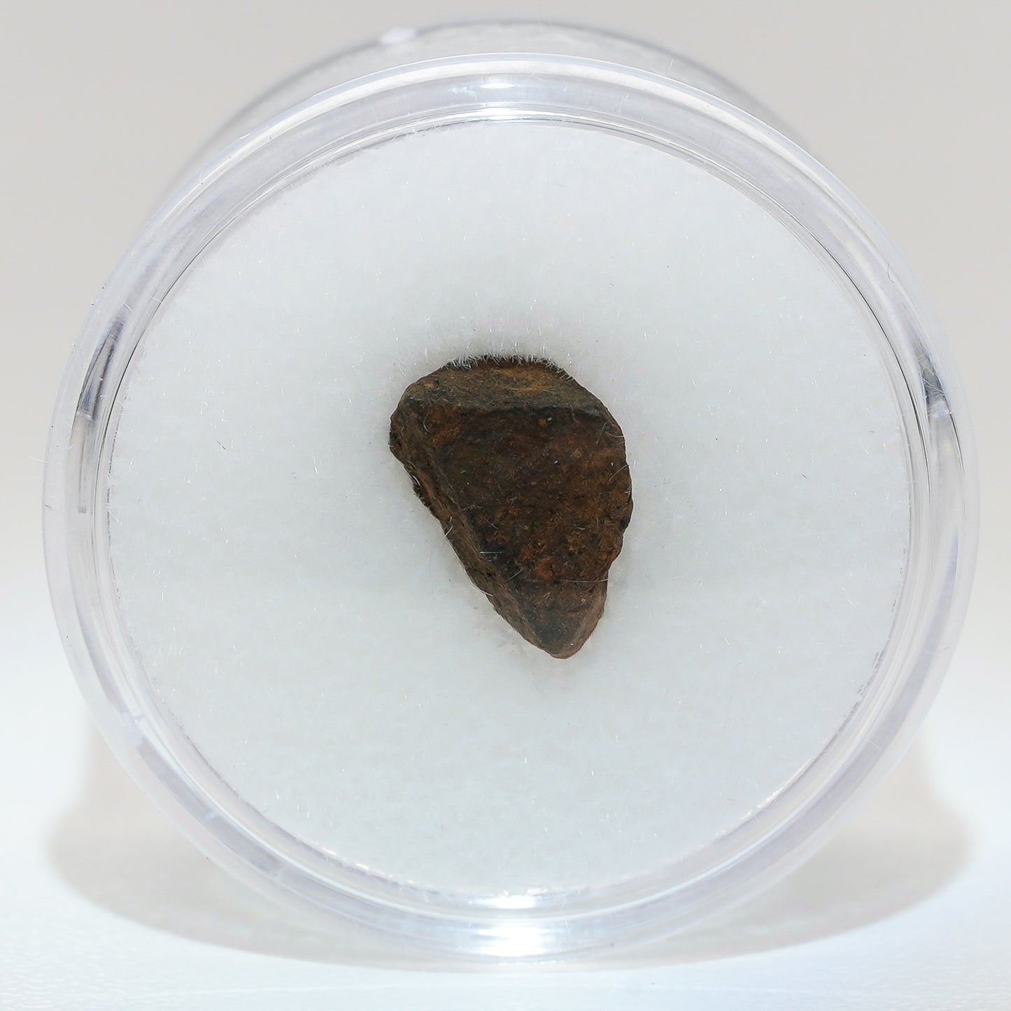 Gibeon Meteorite with Desert Patina from Namaland, Namibia, 1g