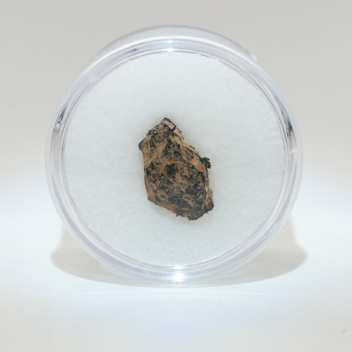 Gibeon Meteorite with Desert Patina from Namaland, Namibia, .7g
