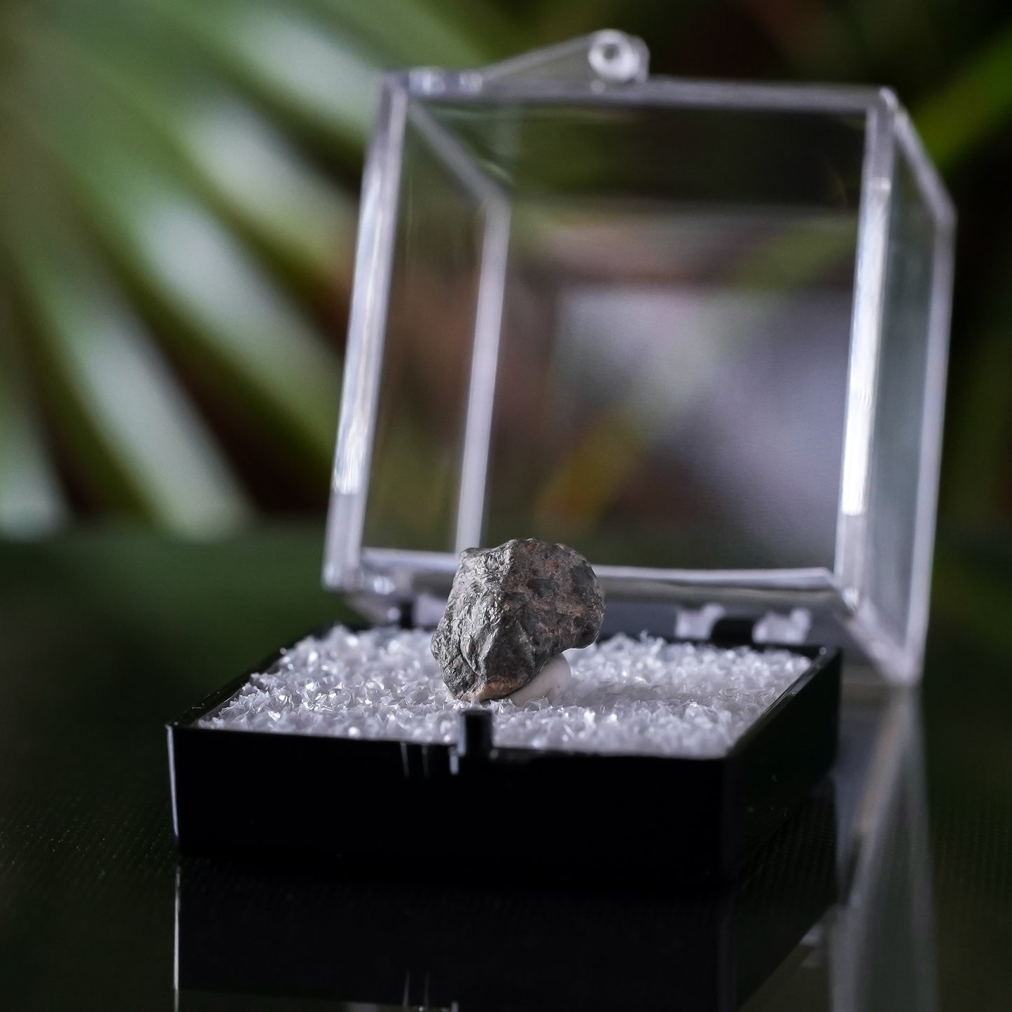 Lunar Meteorite, Lahmada 020, Western Sahara, .5g
