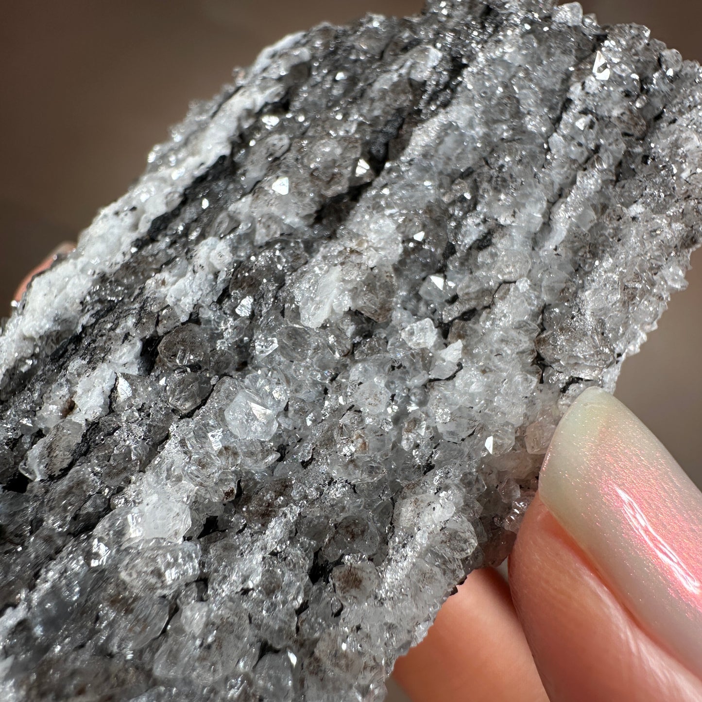 Crystallized Fossil Wood with Silver Smoky Quartz Druzy, 96g | Arizona