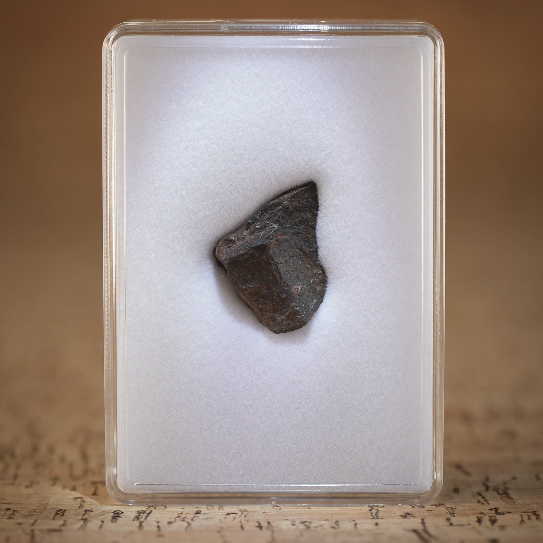 Gibeon Meteorite for sale.