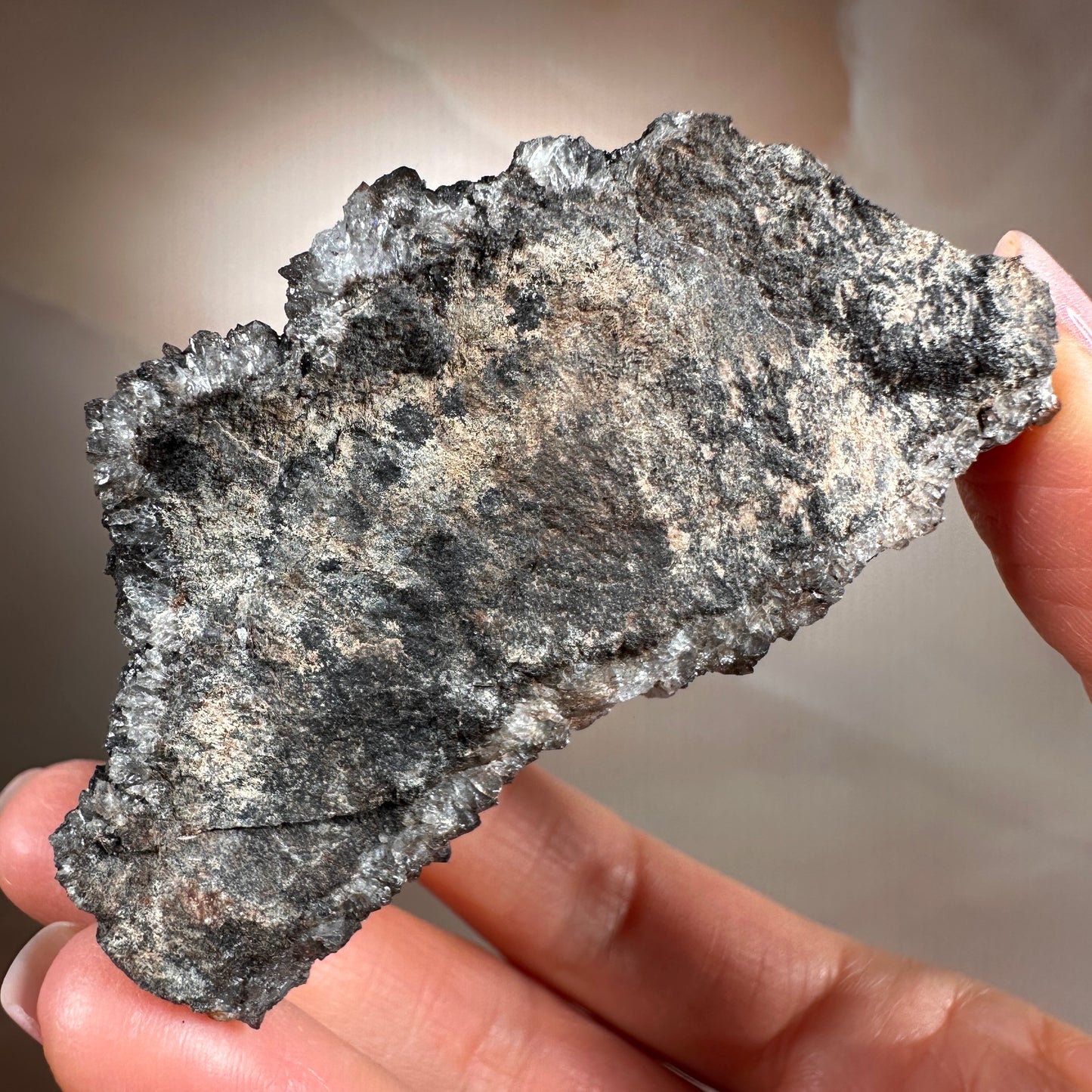 Crystallized Fossil Wood with Smoky Quartz Druzy, 154g — Arizona
