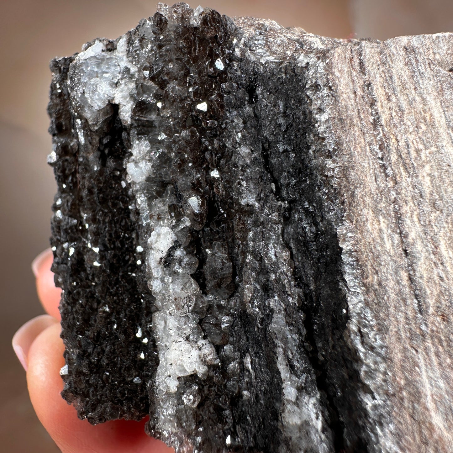 Crystallized Fossil Wood with Smoky Quartz Druzy, 154g — Arizona