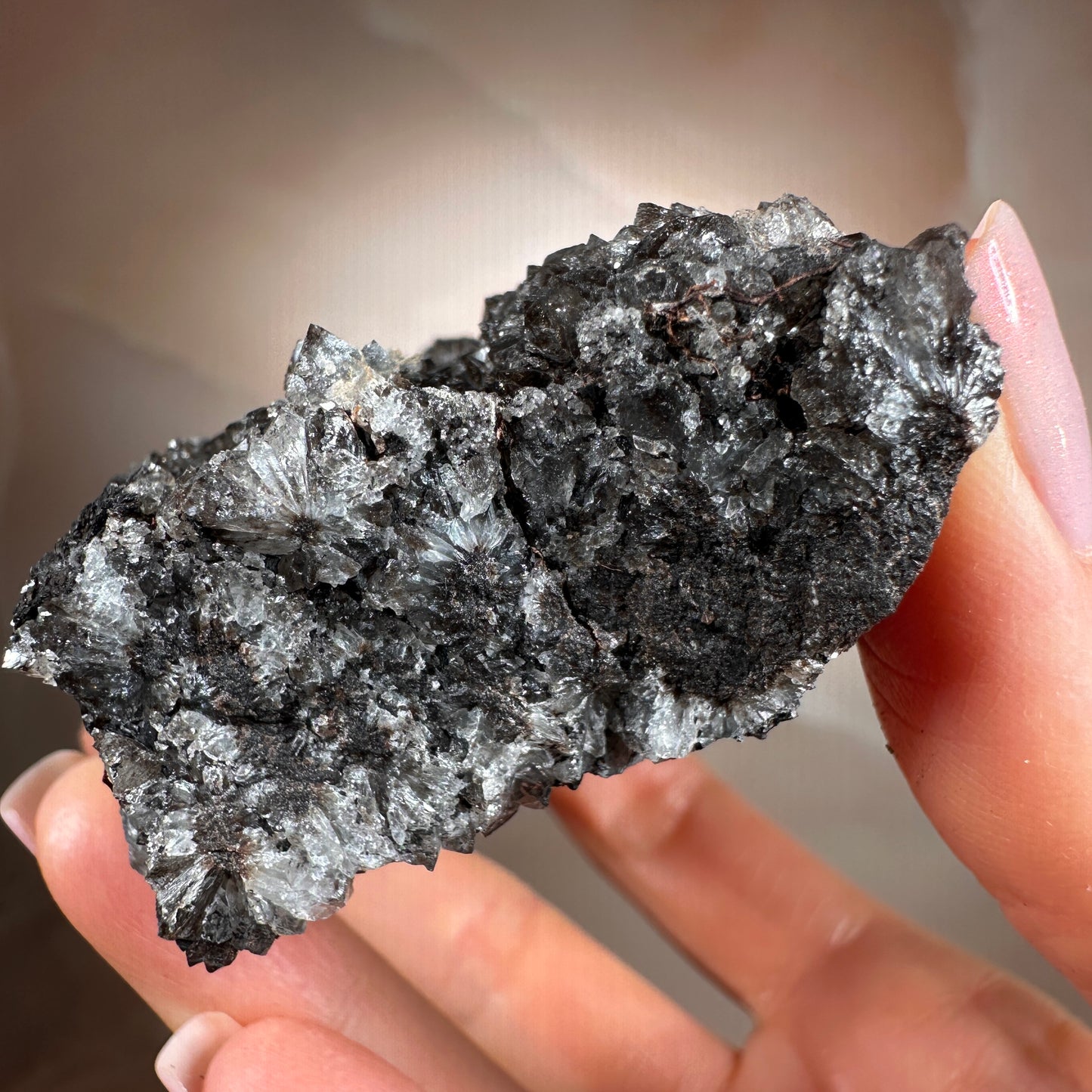 Crystallized Fossil Wood with Smoky Quartz Druzy, 268g — Arizona