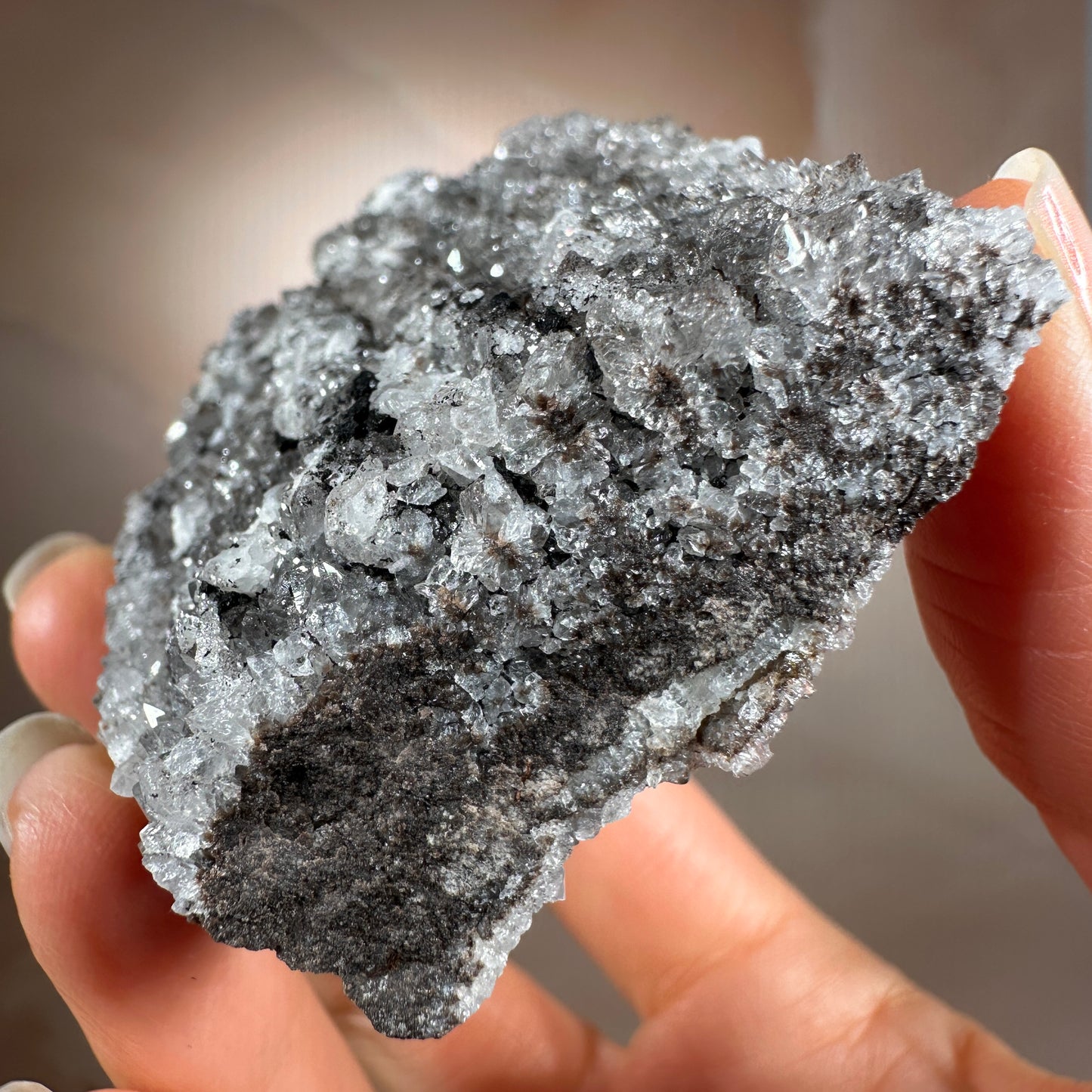 Crystallized Fossil Wood with Silver Smoky Quartz Druzy, 104g | Arizona