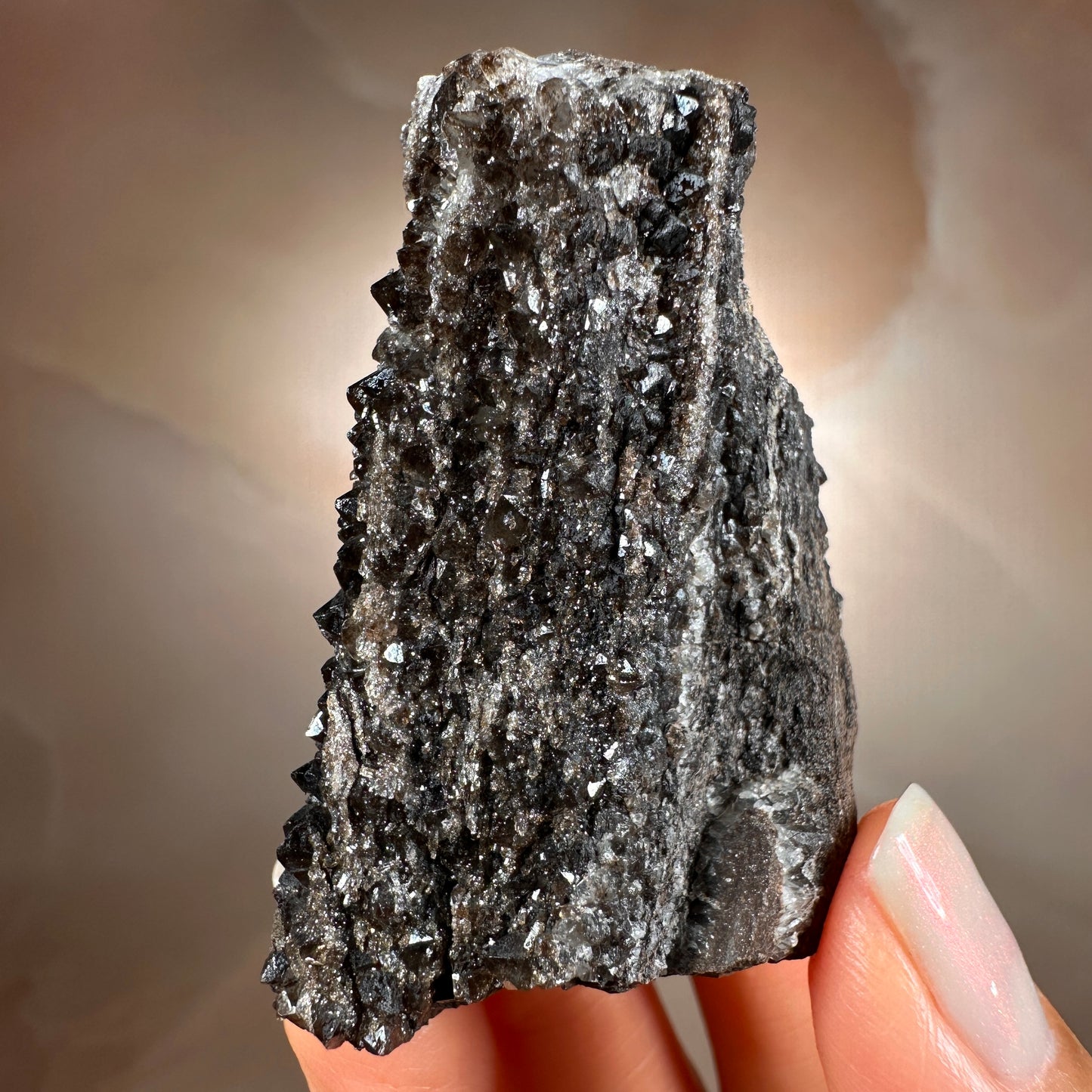 Crystallized Fossil Wood with Smoky Quartz Druzy, 58g | Arizona