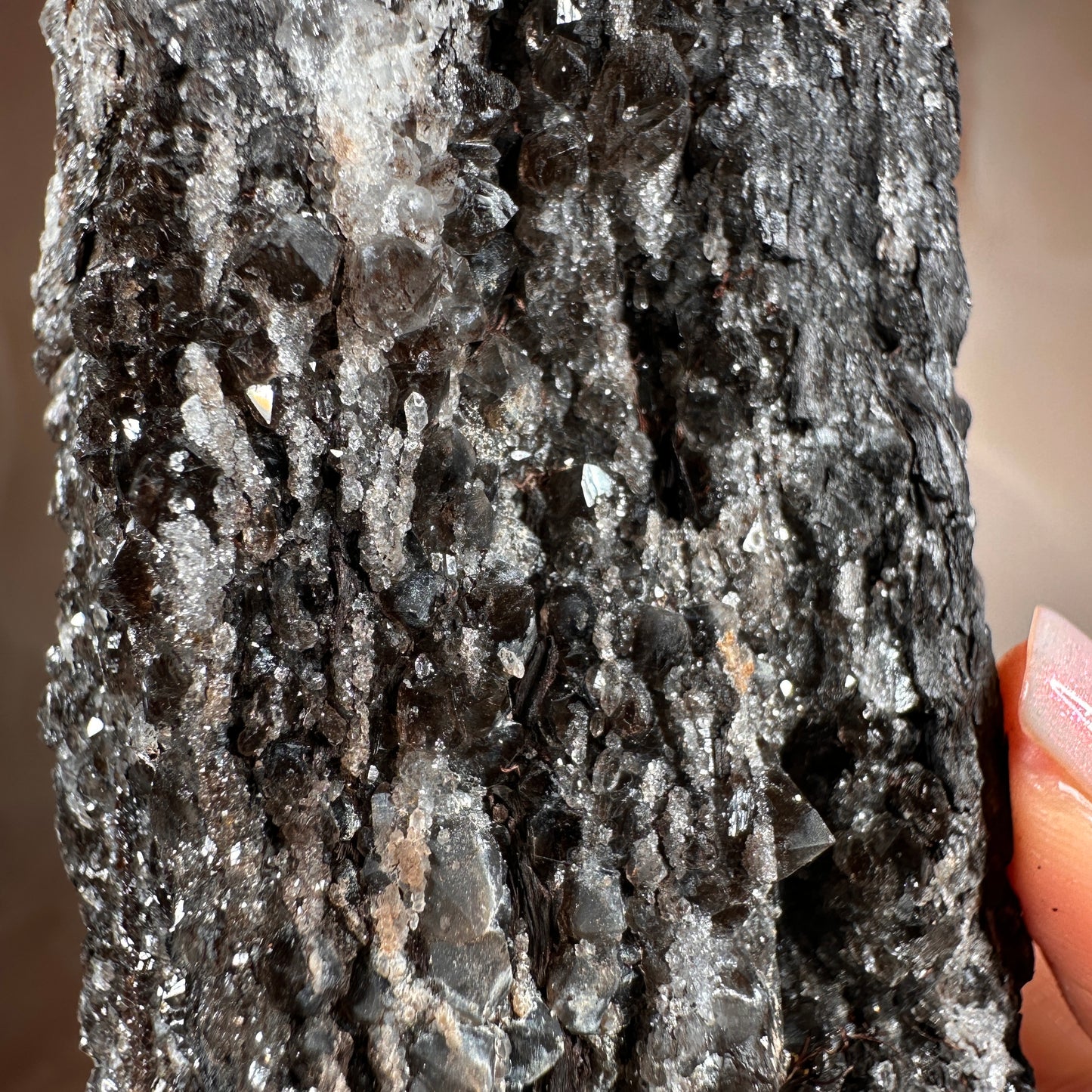 Crystallized Fossil Wood with Smoky Quartz Druzy, 268g — Arizona