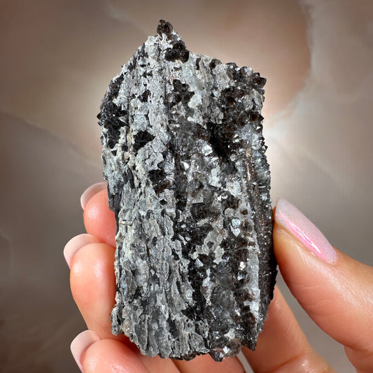 Crystallized Fossil Wood with Smoky Quartz Druzy, 59g — Arizona