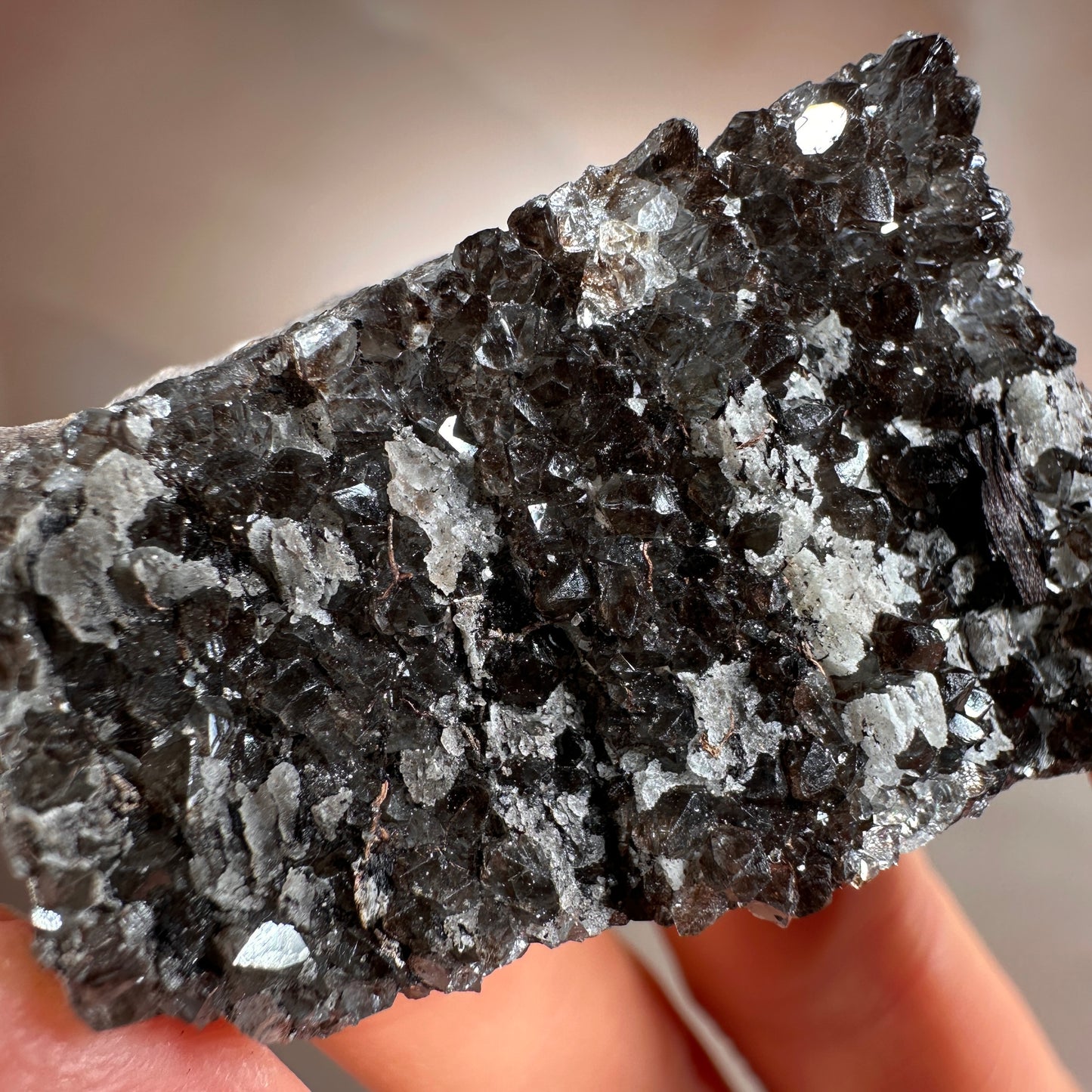 Crystallized Fossil Wood with Smoky Quartz Druzy, 44g — Arizona