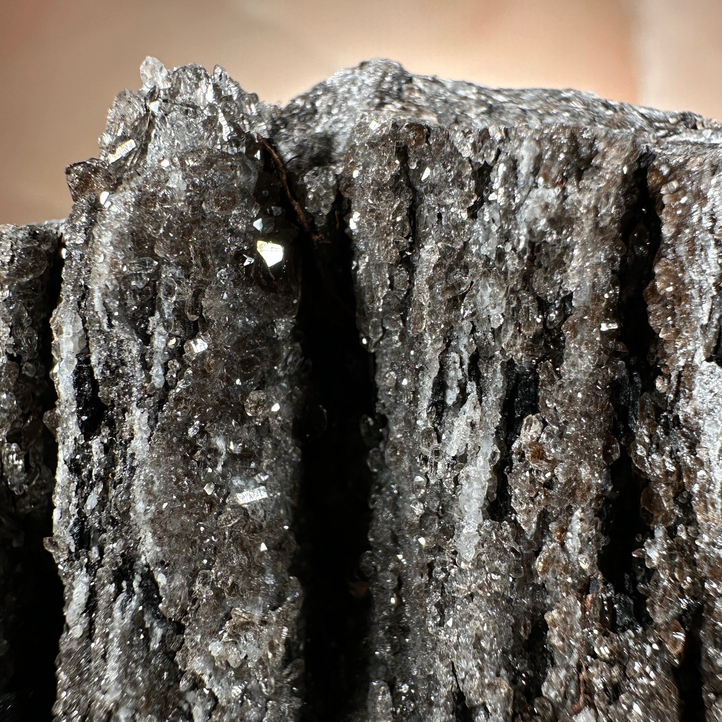 Crystallized Fossil Wood with Smoky Quartz Druzy, 185g | Arizona