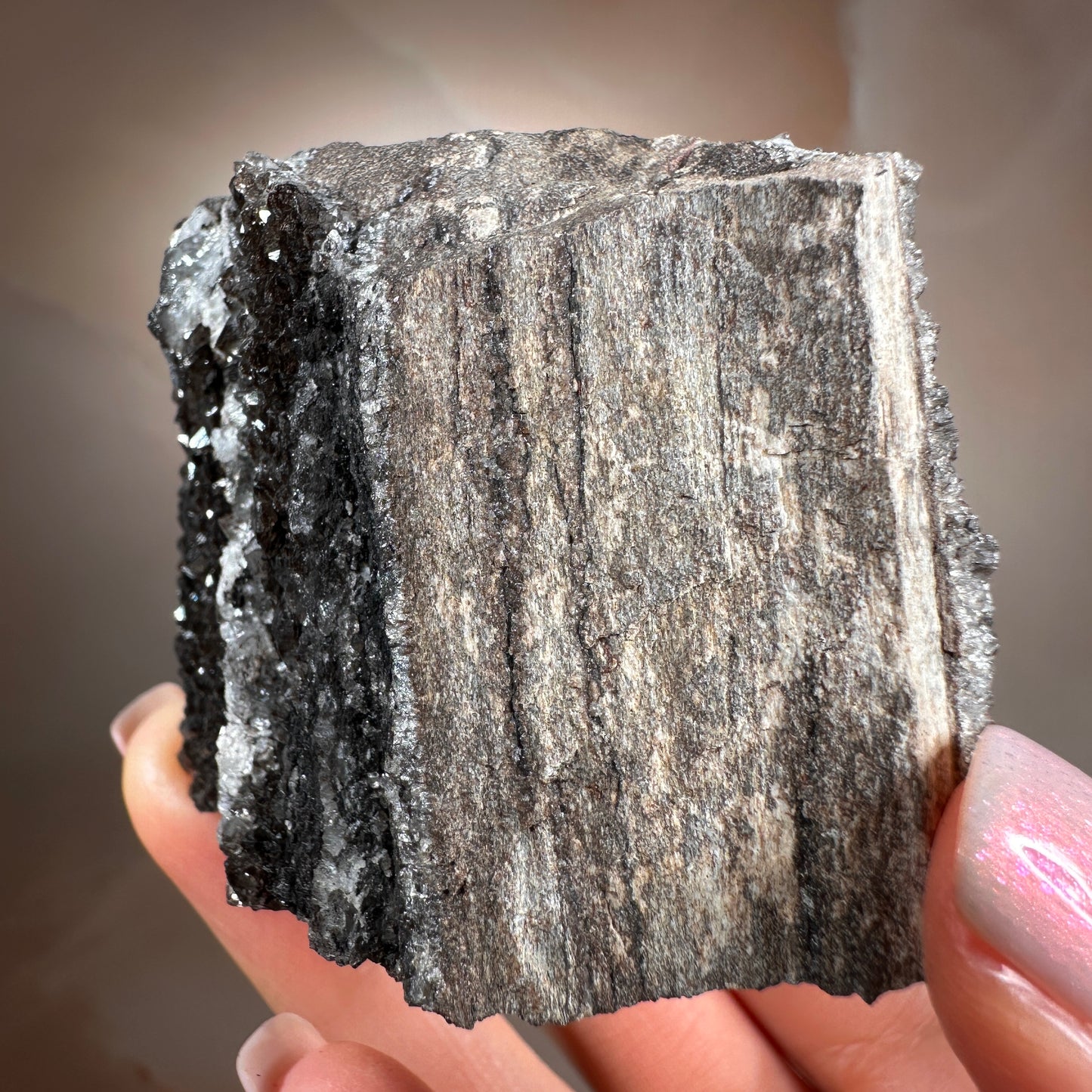 Crystallized Fossil Wood with Smoky Quartz Druzy, 154g — Arizona