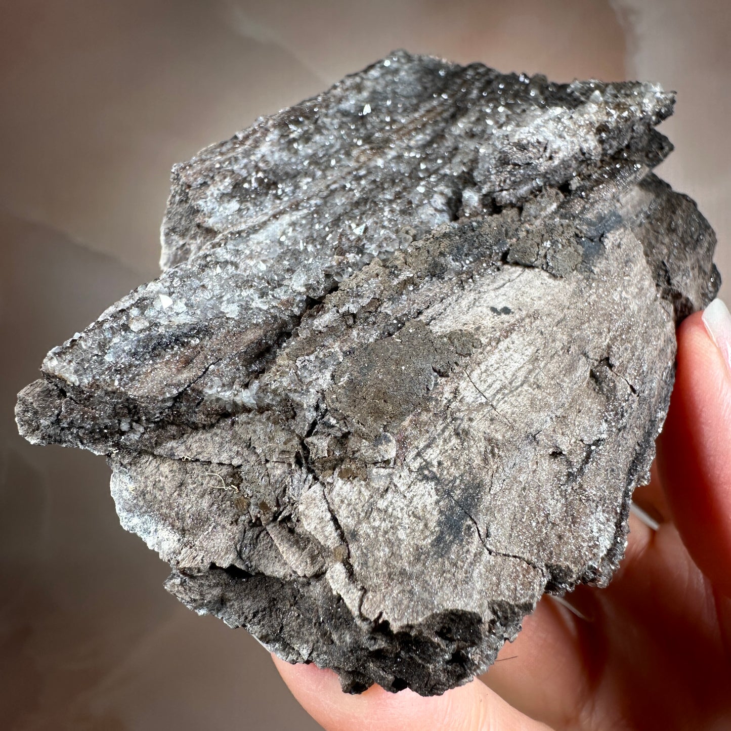 Crystallized Fossil Wood with Smoky Quartz Druzy, 335g | Arizona