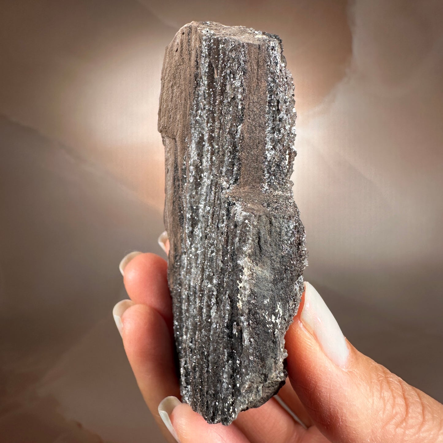 Crystallized Fossil Wood with Smoky Quartz Druzy, 115g | Arizona