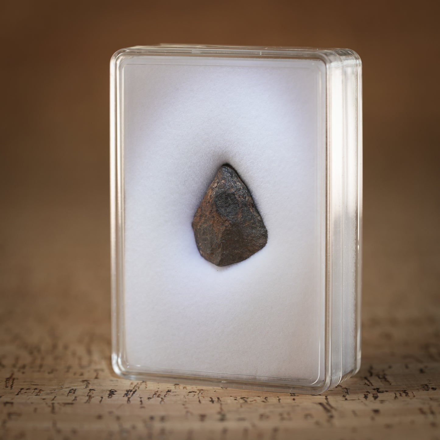 14.8g Gibeon Meteorite with Desert Patina, Namibia, Africa. Includes Collectors Display Box with COA.