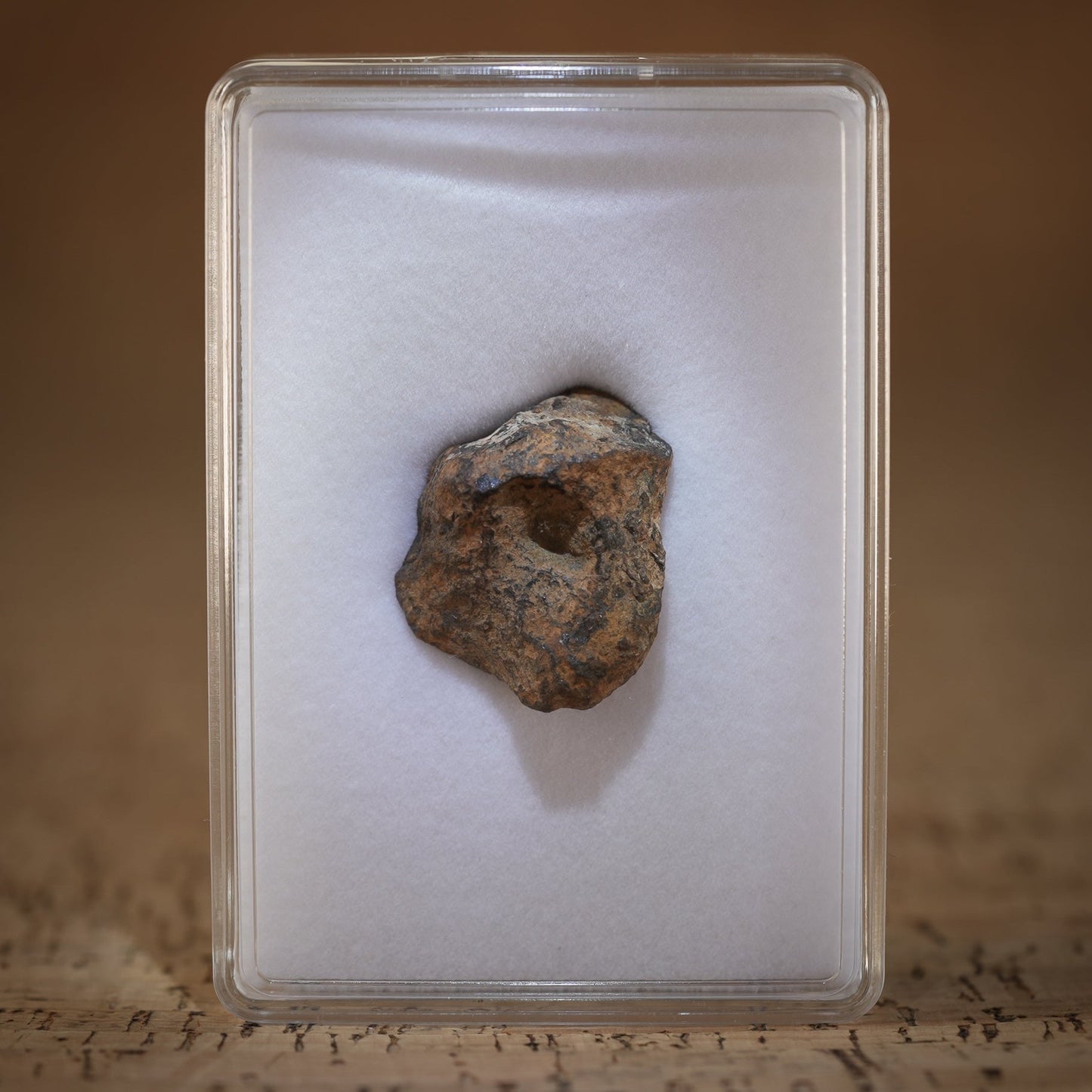 Gibeon Meteorite for sale.