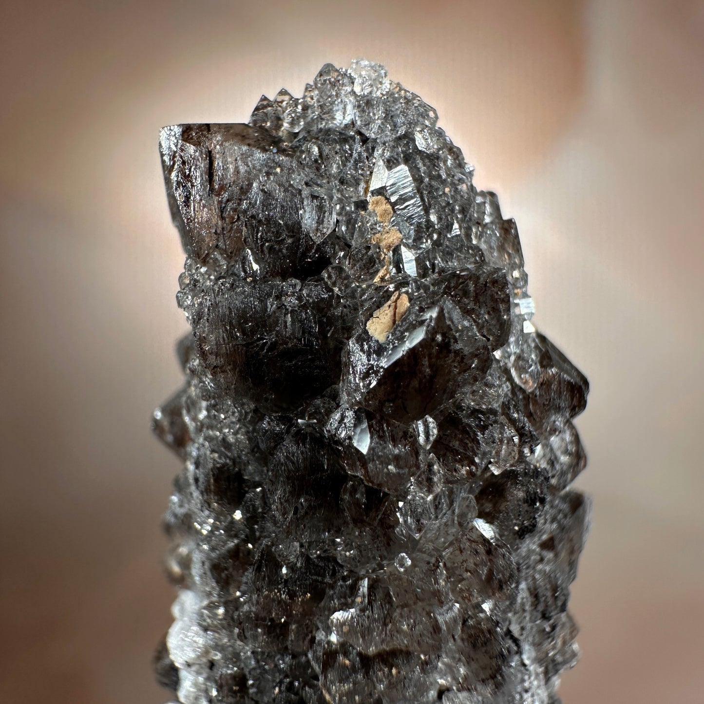 Crystallized Fossil Wood with Smoky Quartz Druzy, 18g — Arizona