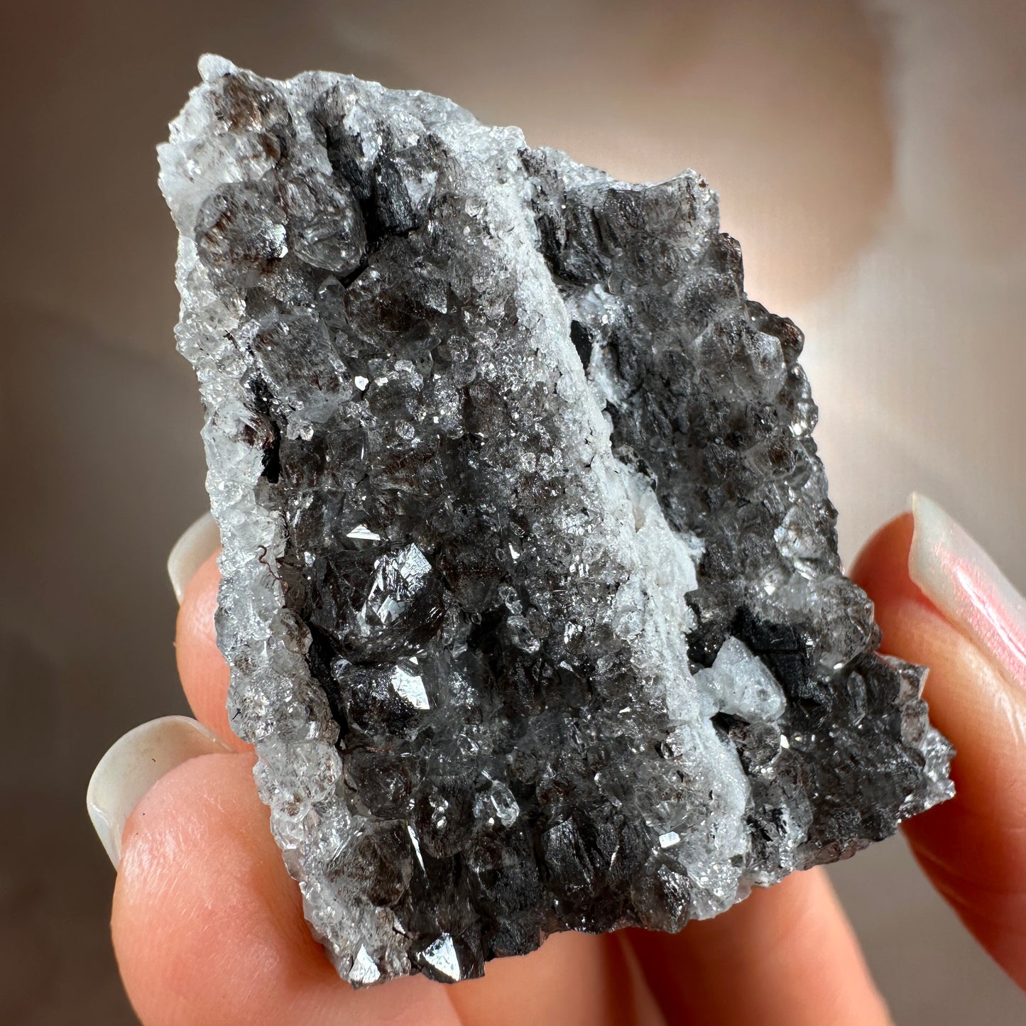 Crystallized Fossil Wood with Smoky Quartz Druzy, 42g | Arizona