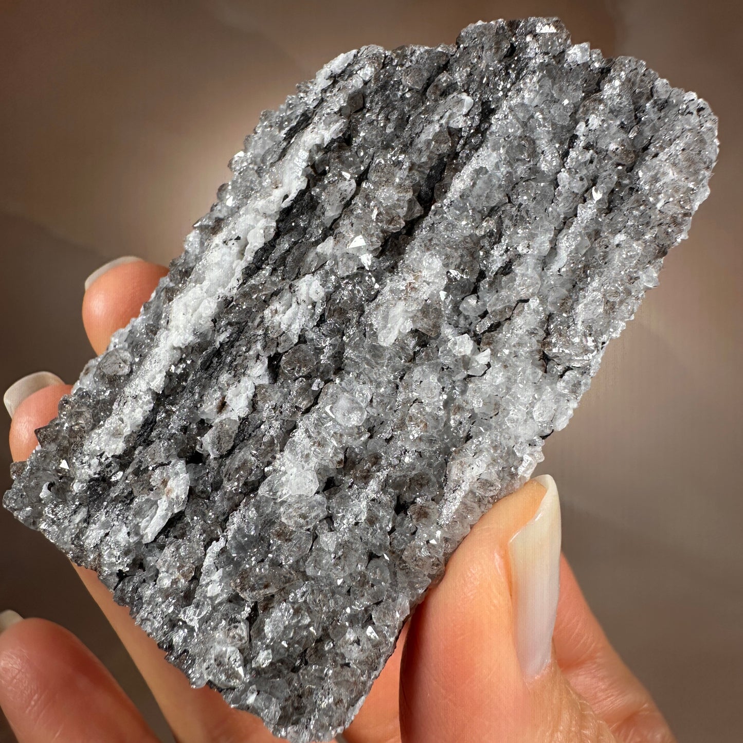 Crystallized Fossil Wood with Silver Smoky Quartz Druzy, 96g | Arizona