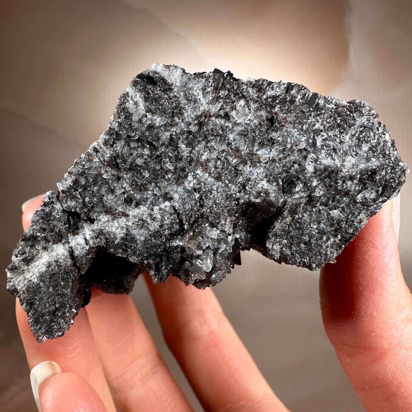 Crystallized Fossil Wood with Smoky Quartz Druzy, 185g | Arizona