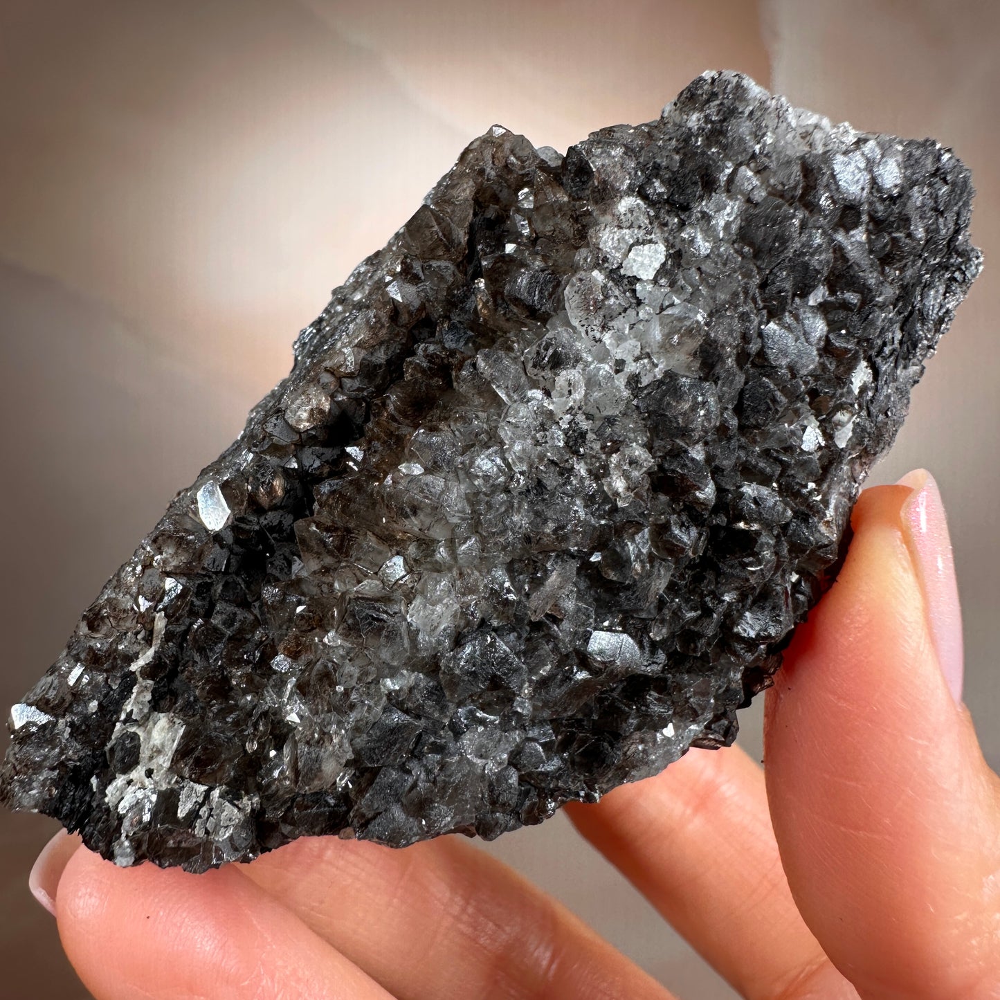 Crystallized Fossil Wood with Smoky Quartz Druzy, 137g — Arizona