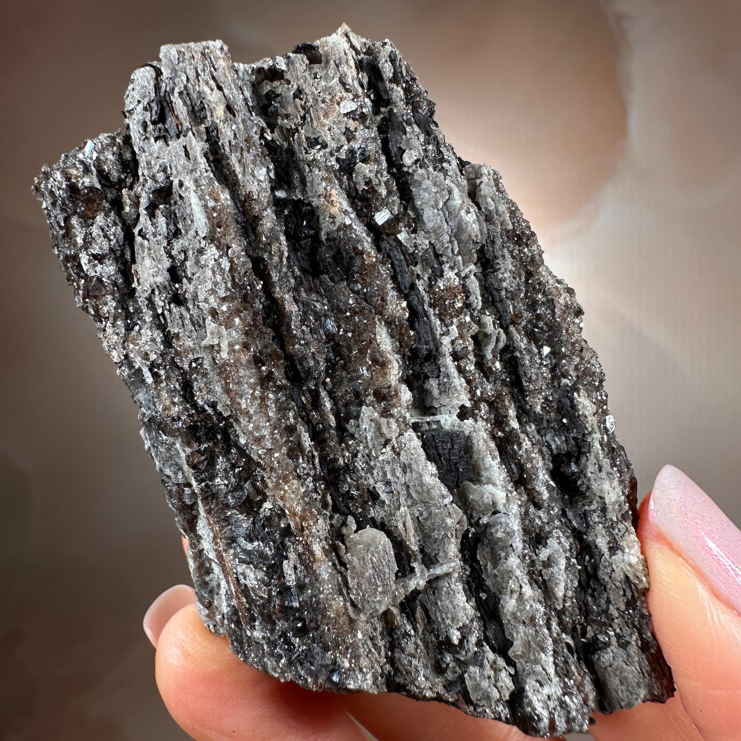 Crystallized Fossil Wood with Smoky Quartz Druzy, 117g — Arizona