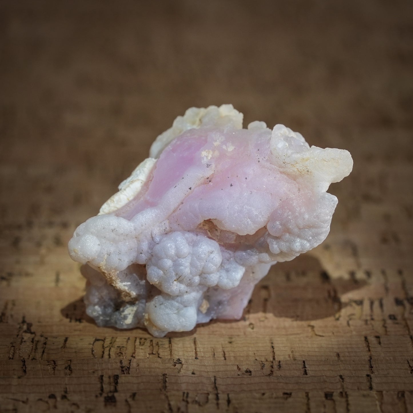 Peruvian Pink Opal, Botryoidal Form, Andes Mountains, Ica, Peru, 43g