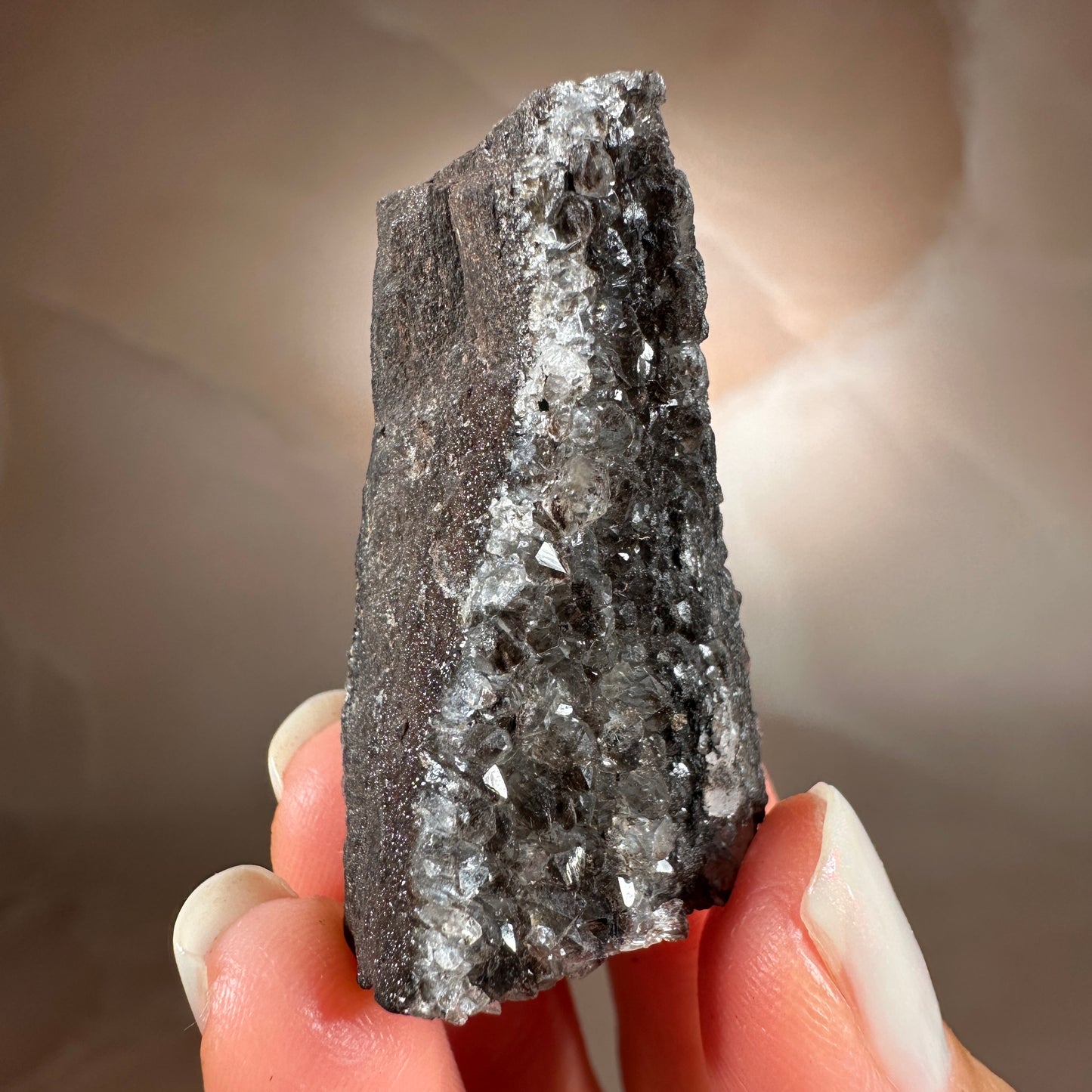 Crystallized Fossil Wood with Smoky Quartz Druzy, 18g | Arizona