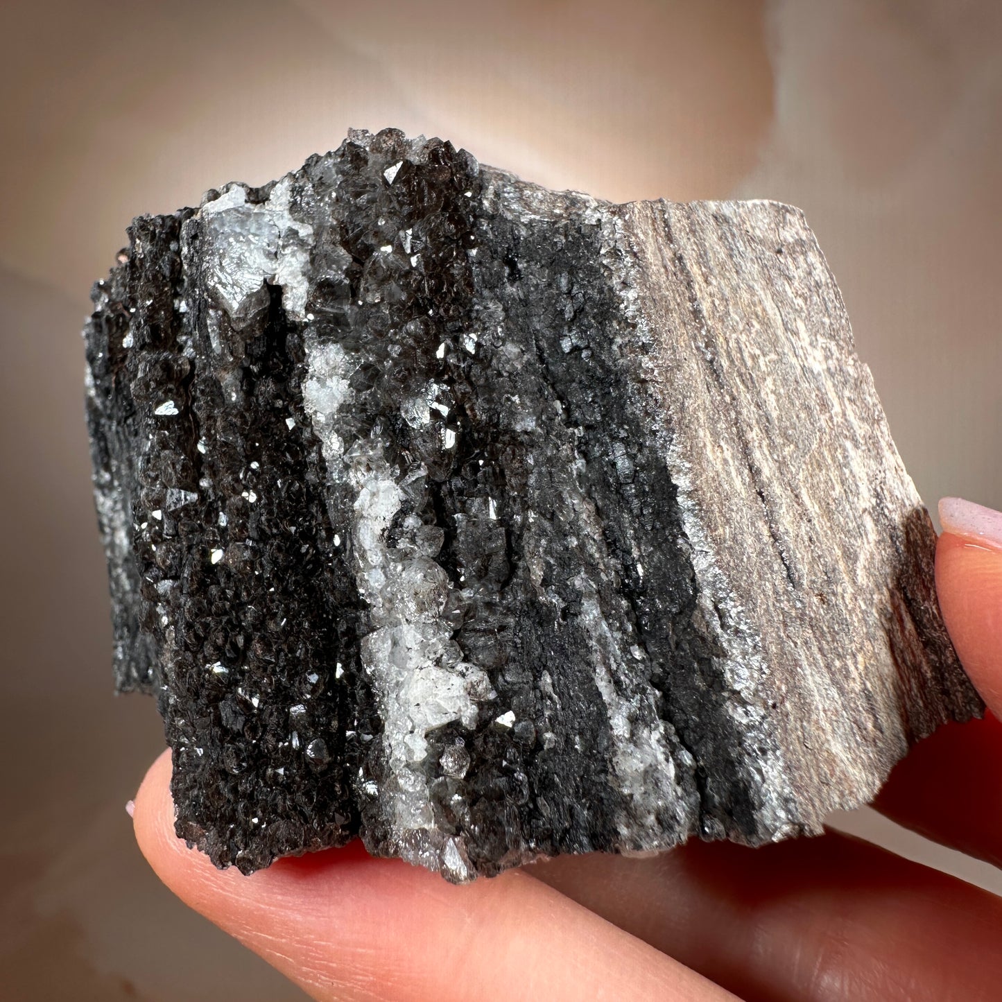 Crystallized Fossil Wood with Smoky Quartz Druzy, 154g — Arizona