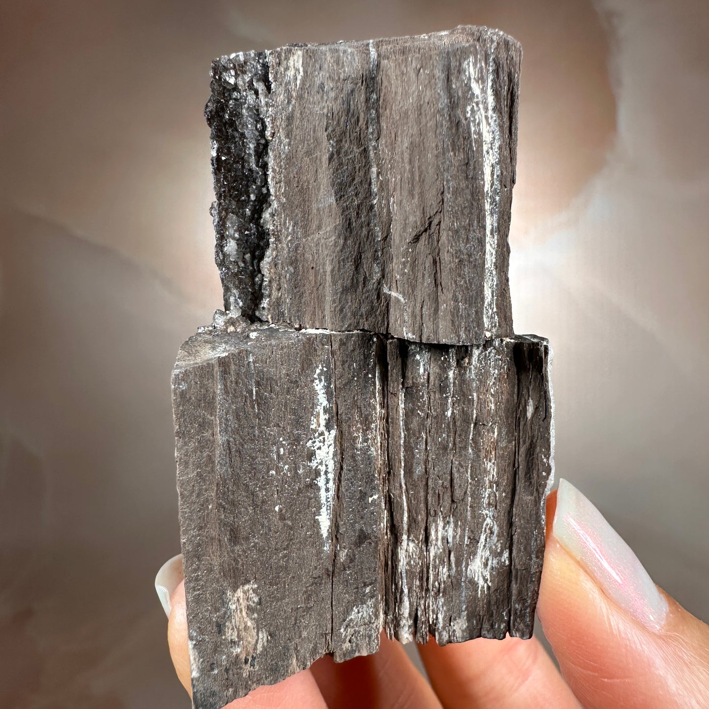 Crystallized Fossil Wood with Smoky Quartz Druzy, 102g | Arizona