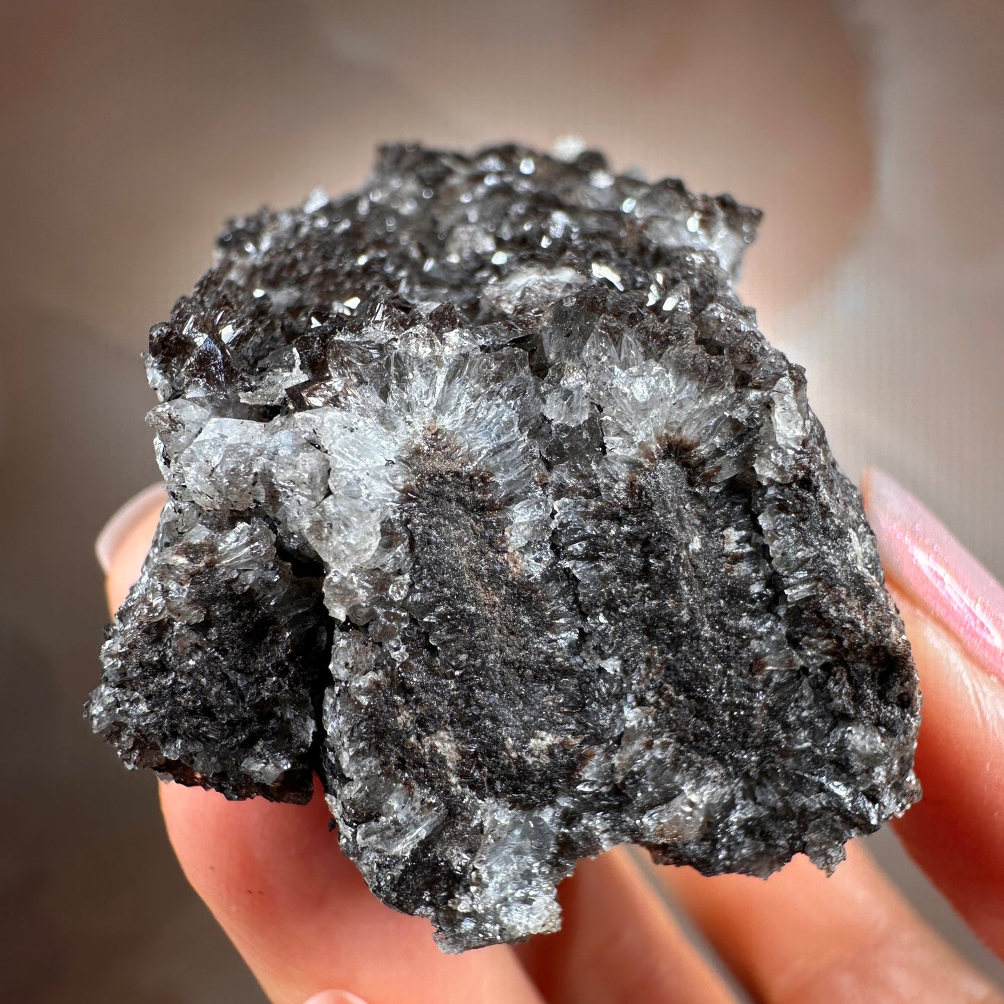 Crystallized Fossil Wood with Smoky Quartz Druzy, 117g — Arizona