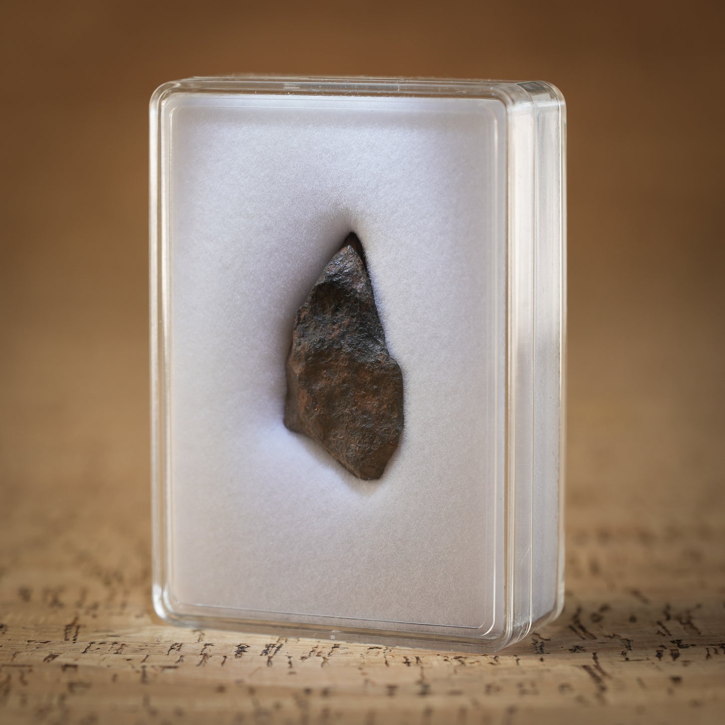 16.3g Gibeon Meteorite with Desert Patina, Namibia, Africa. Includes Collectors Display Box with COA.