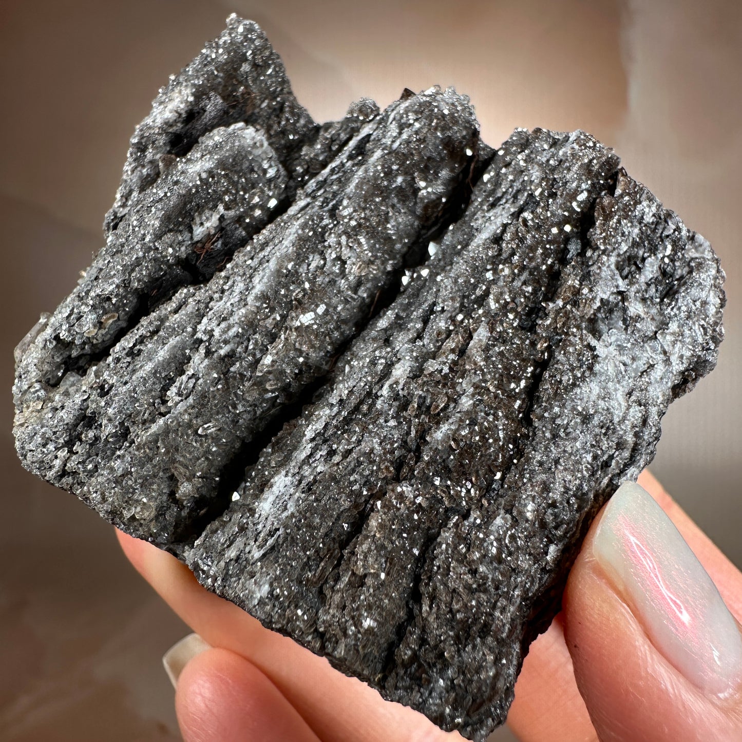 Crystallized Fossil Wood with Smoky Quartz Druzy, 185g | Arizona