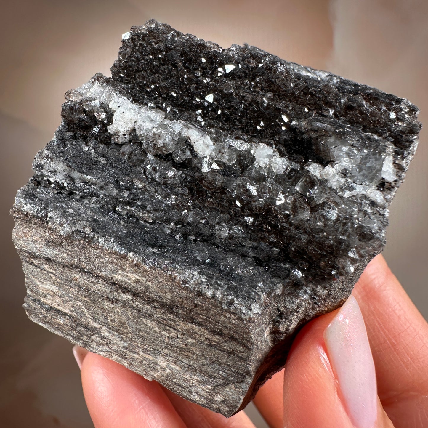 Crystallized Fossil Wood with Smoky Quartz Druzy, 154g — Arizona