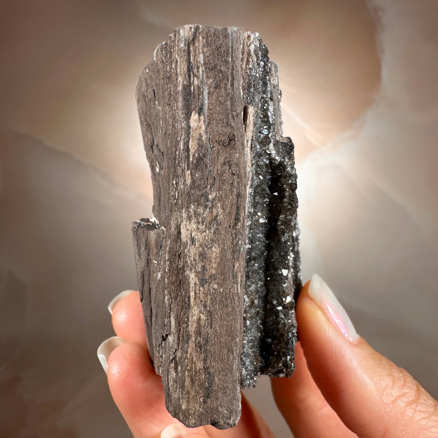 Crystallized Fossil Wood with Smoky Quartz Druzy, 102g | Arizona