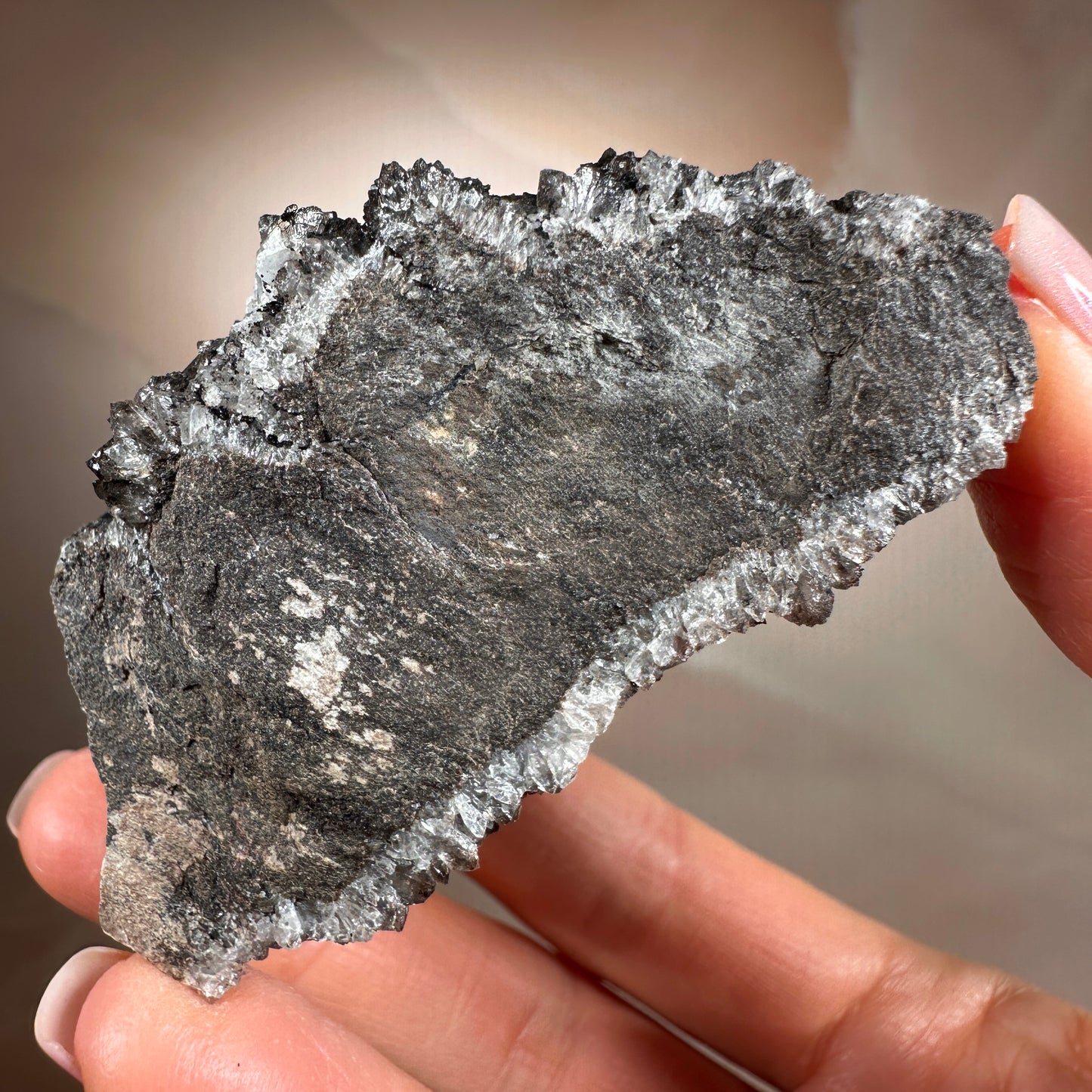 Crystallized Fossil Wood with Smoky Quartz Druzy, 154g — Arizona