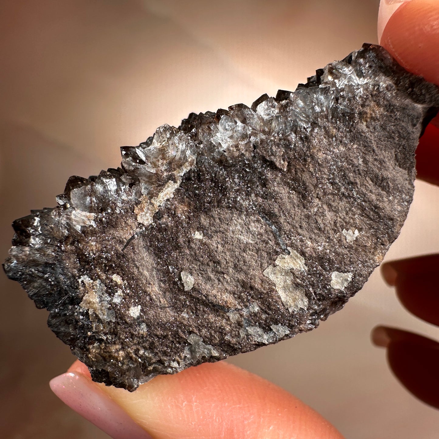 Crystallized Fossil Wood with Smoky Quartz Druzy, 44g — Arizona