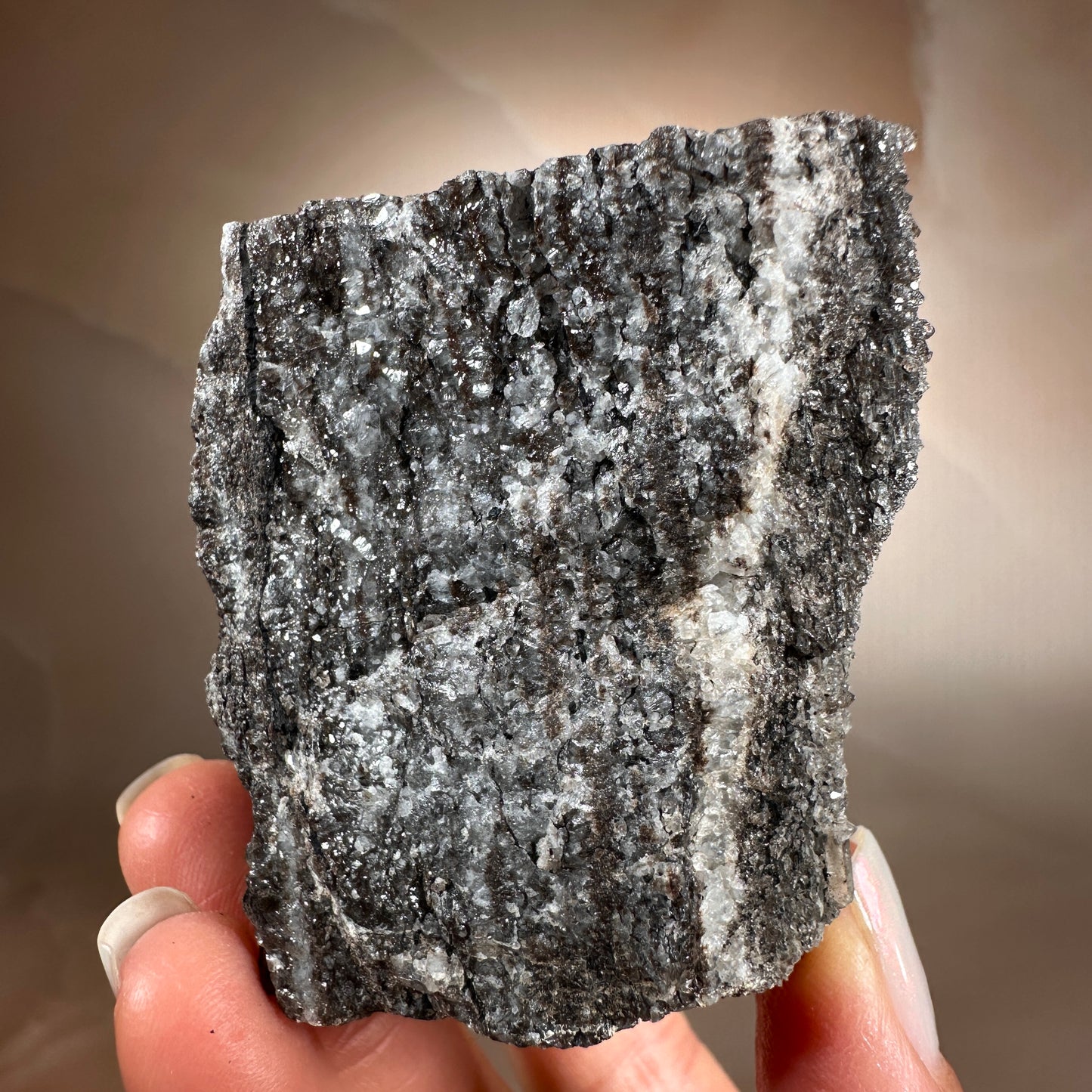 Crystallized Fossil Wood with Smoky Quartz Druzy, 185g | Arizona