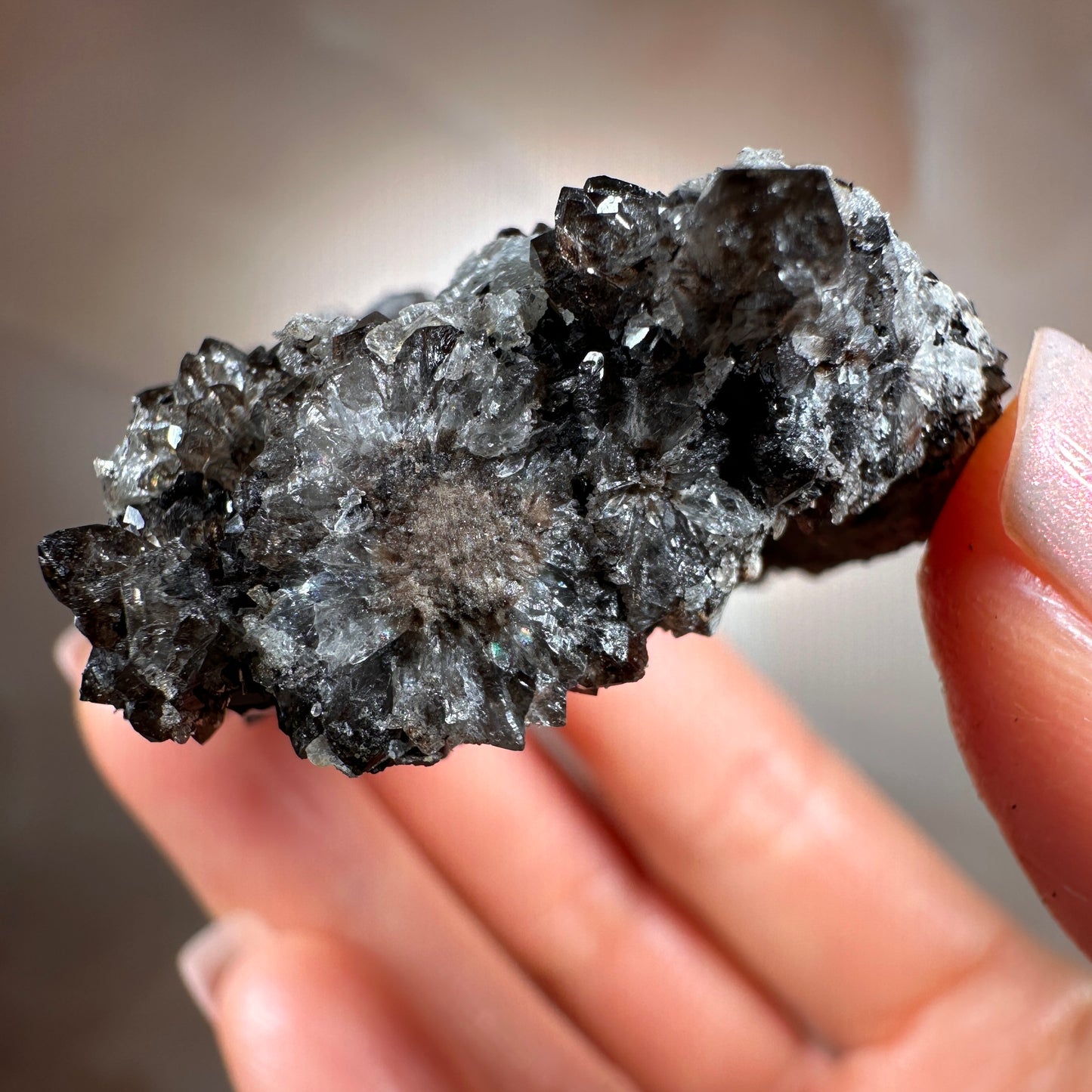 Crystallized Fossil Wood with Smoky Quartz Druzy, 59g — Arizona