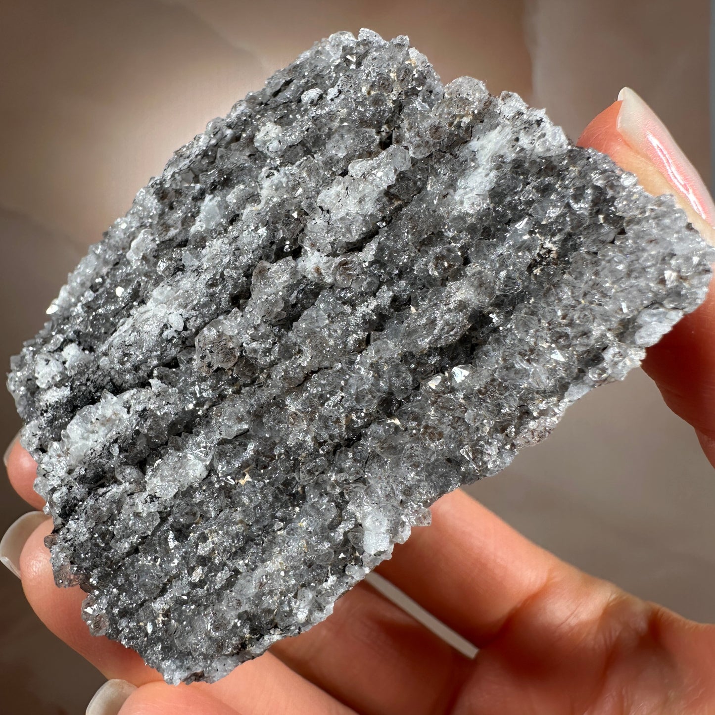 Crystallized Fossil Wood with Silver Smoky Quartz Druzy, 104g | Arizona