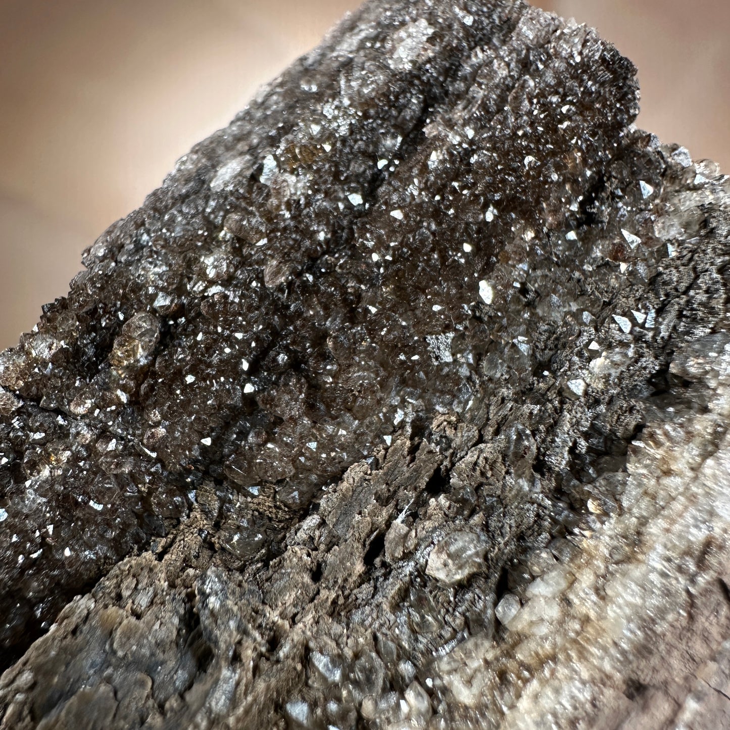 Crystallized Fossil Wood with Smoky Quartz Druzy, 177g | Arizona