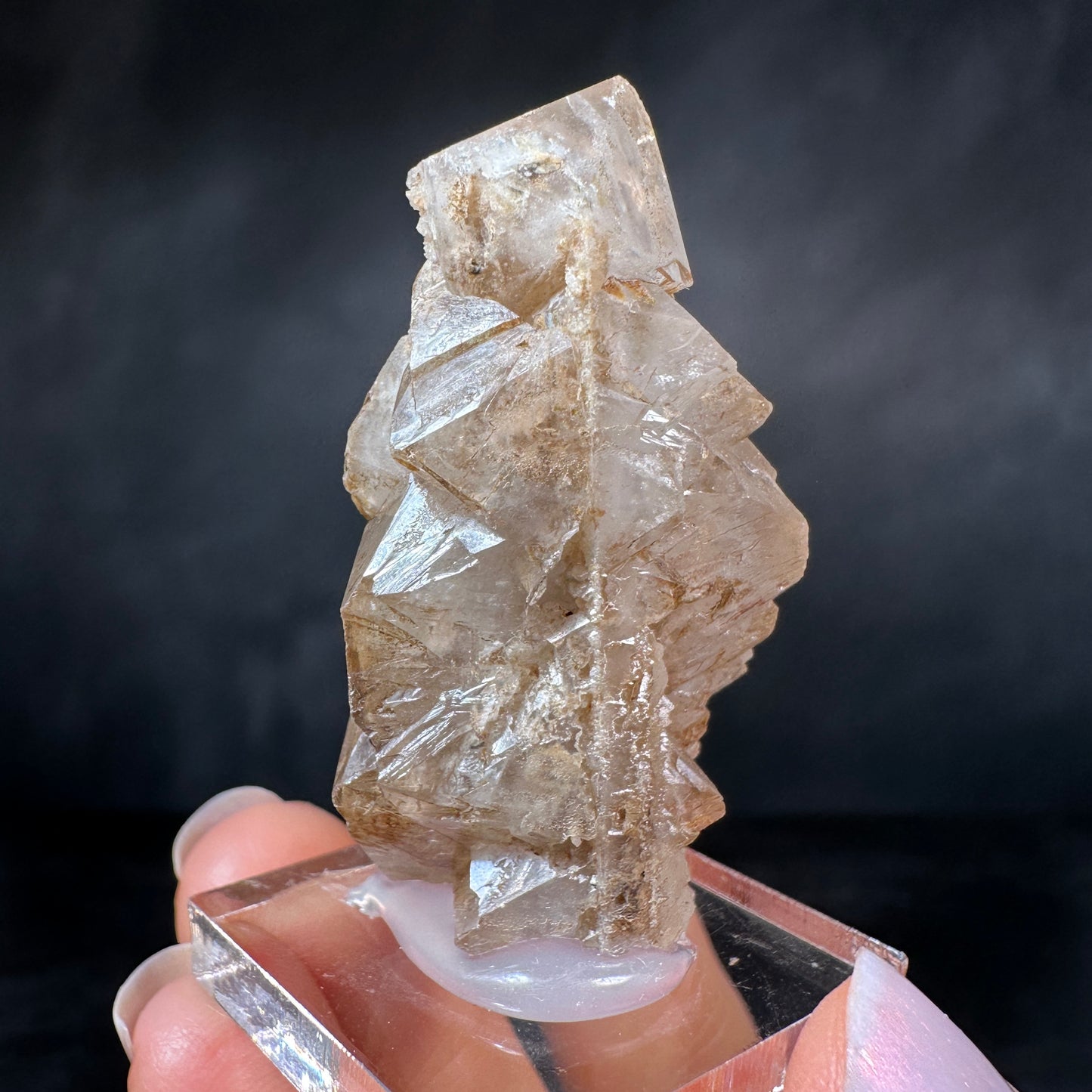 Di-Pyramidal Quartz (24g) 2nd Sovetskii Mine, Dalnegorsk, Russia