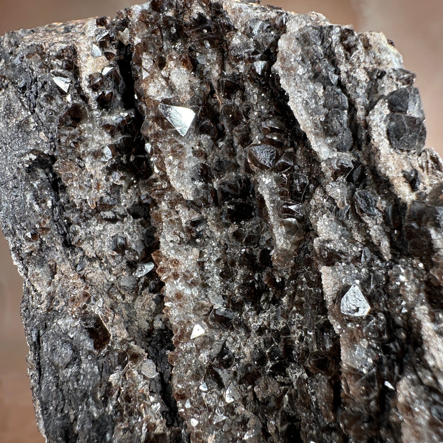Crystallized Fossil Wood with Smoky Quartz Druzy, 347g — Arizona