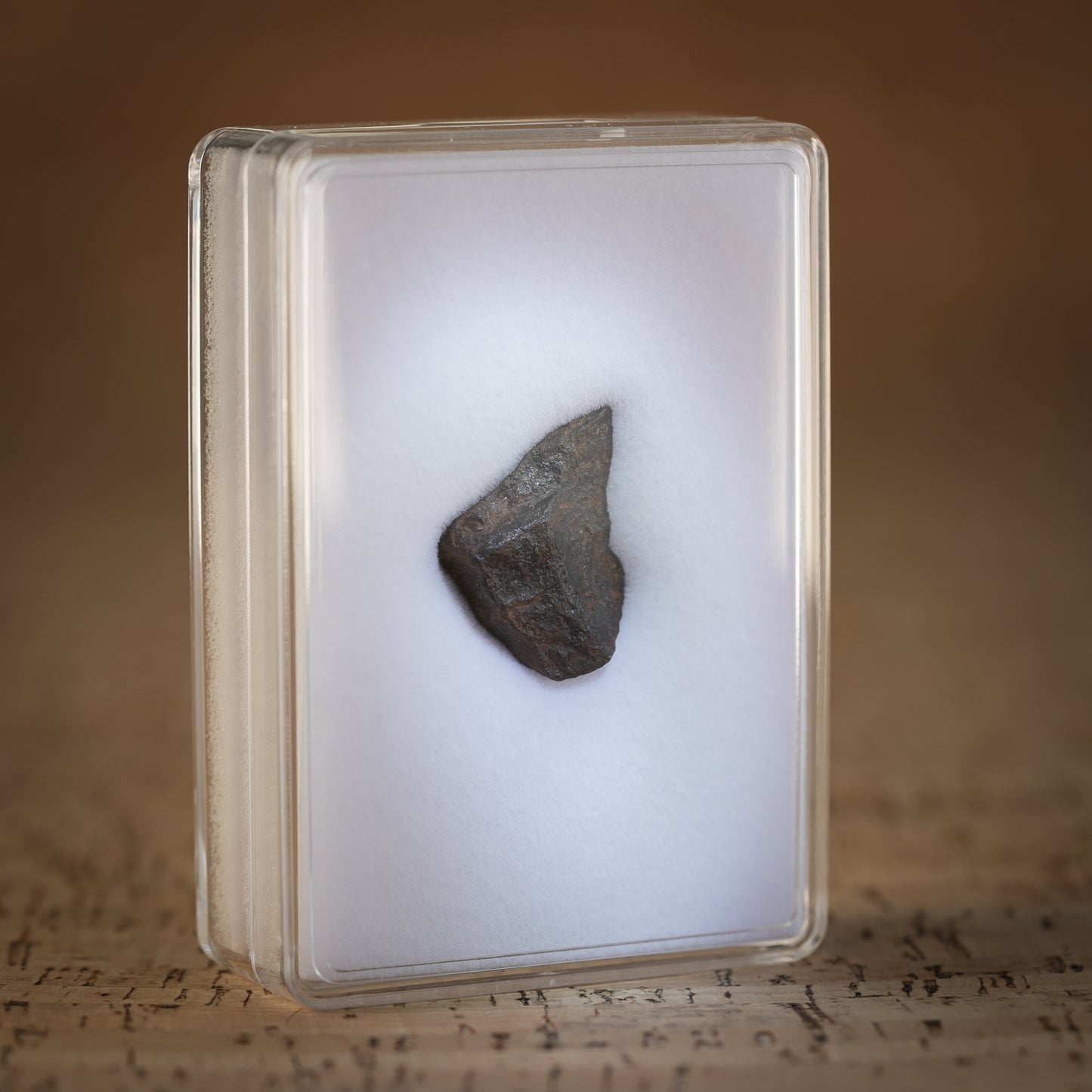 9.1g Gibeon Meteorite with Desert Patina, Namibia, Africa. Includes Collectors Display Box with COA.