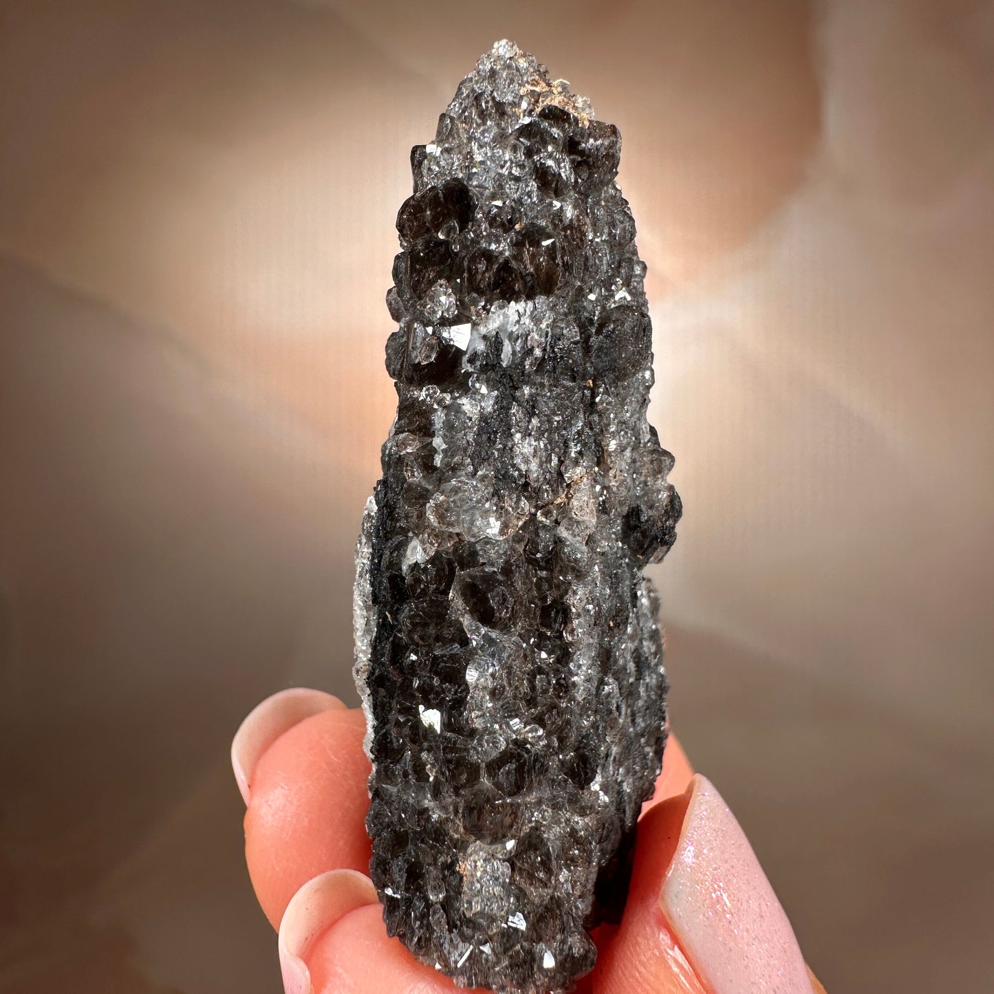 Crystallized Fossil Wood with Smoky Quartz Druzy, 18g — Arizona